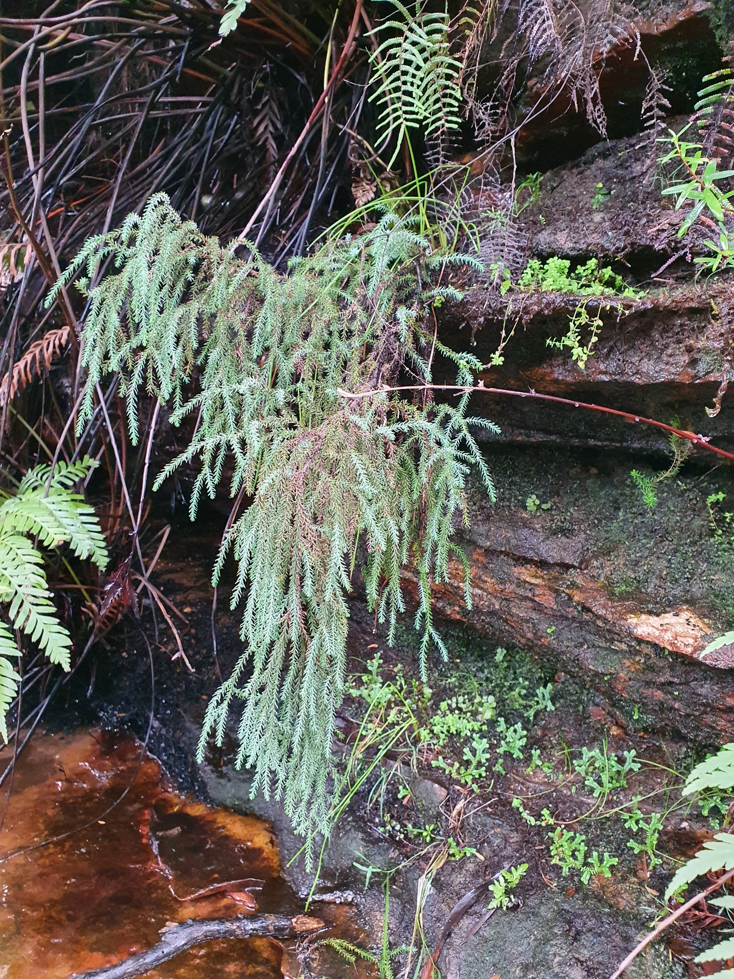 20250515_144244.jpg