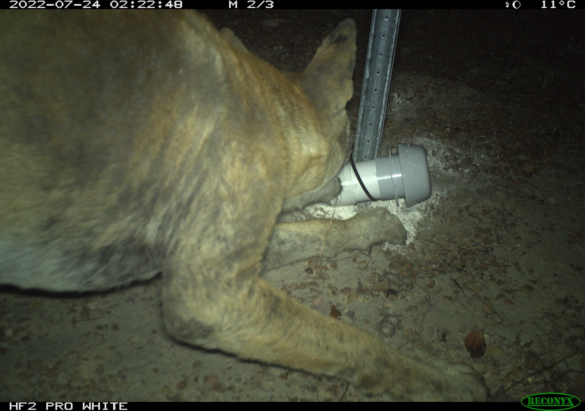 RCNX0098.JPG