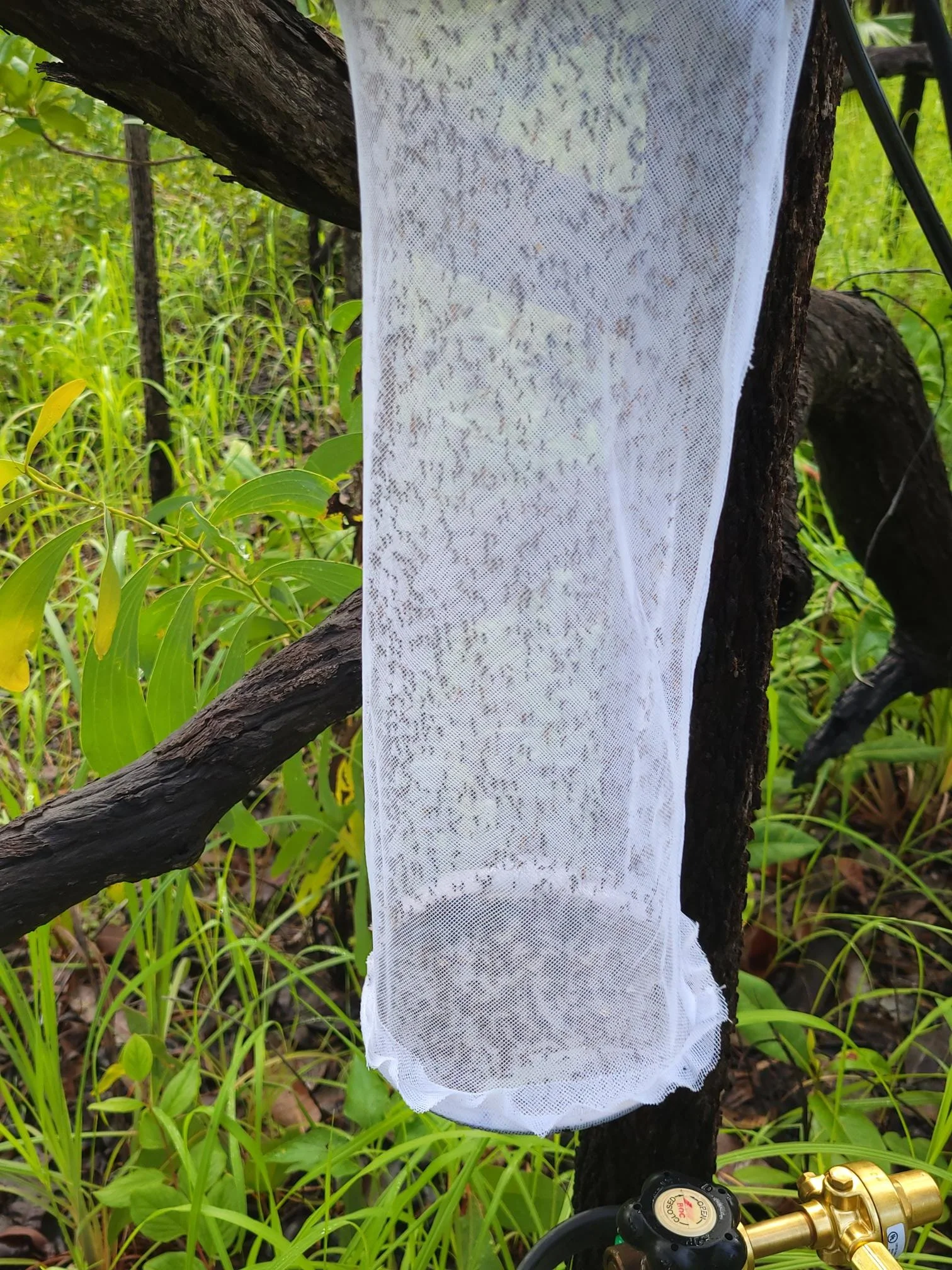 20220202_082249.jpg
