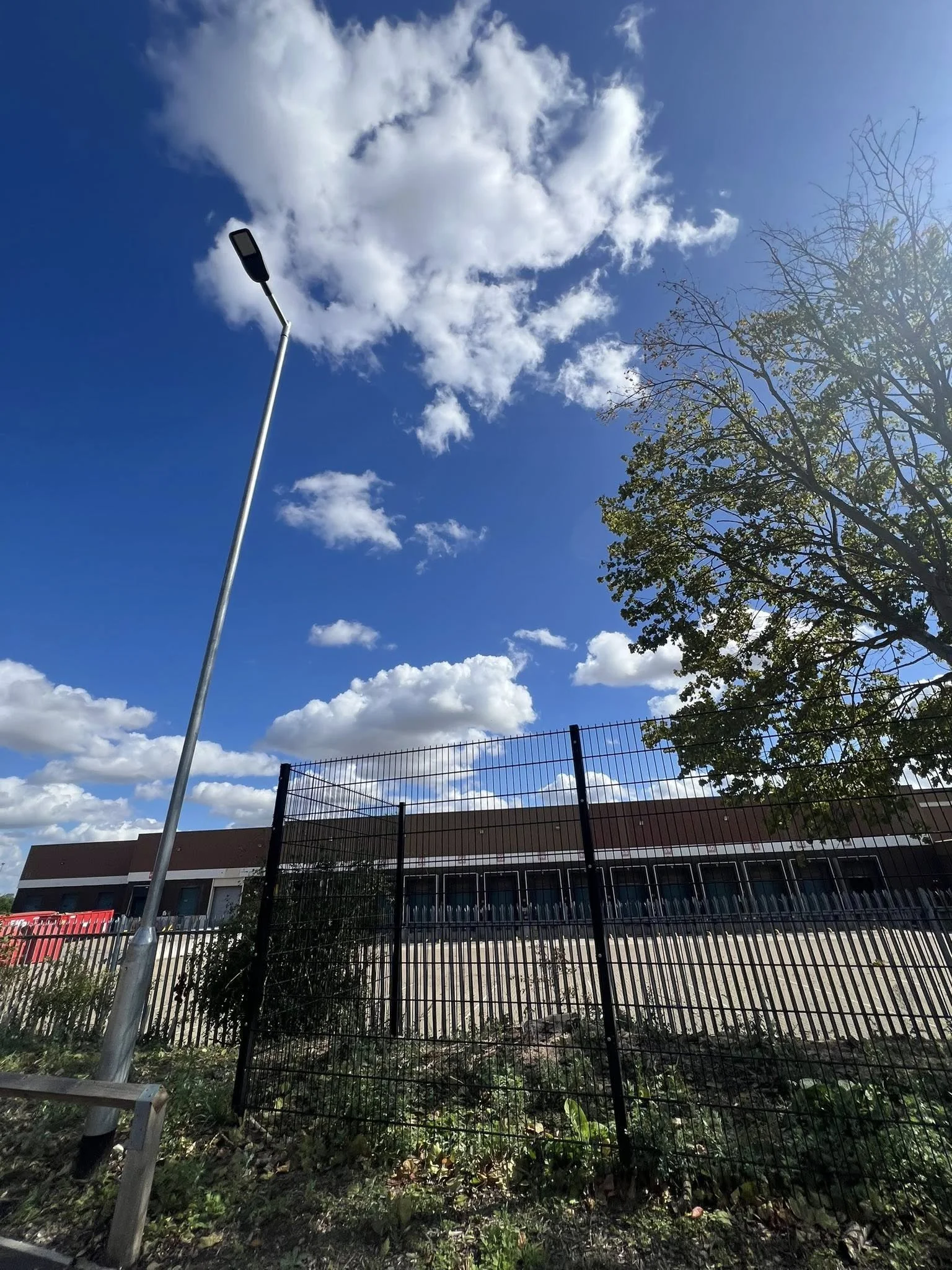 After tree removal and site clearance at an industrial unit 