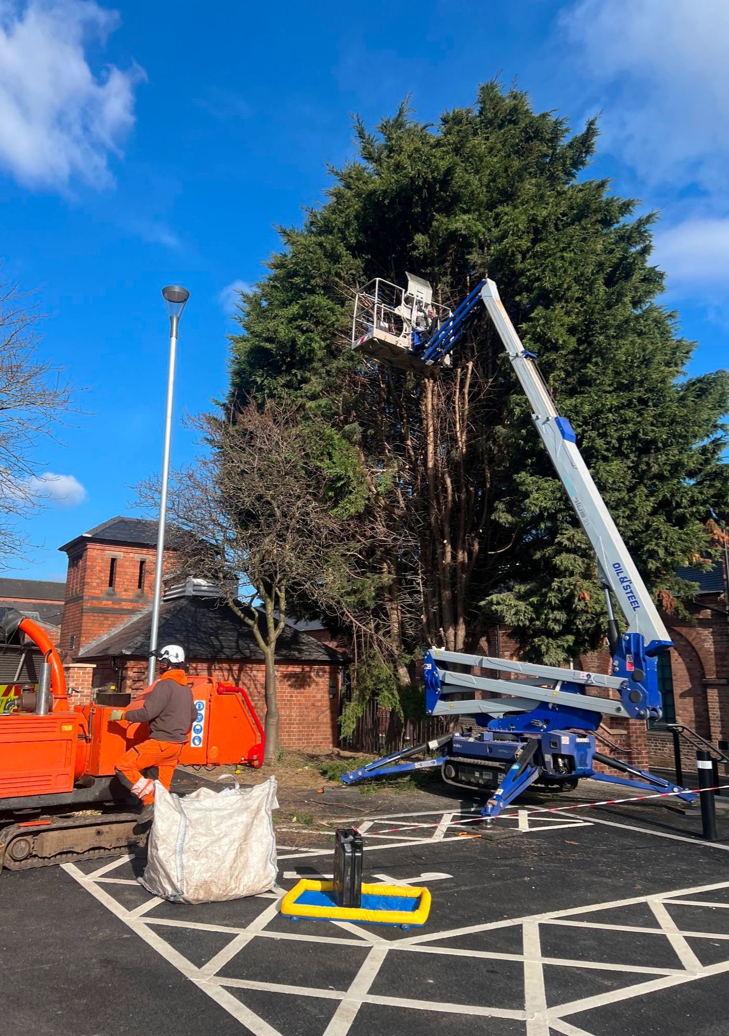 MEWP and chipper working together to reduce height of tree and leave site clear in a commercial car park