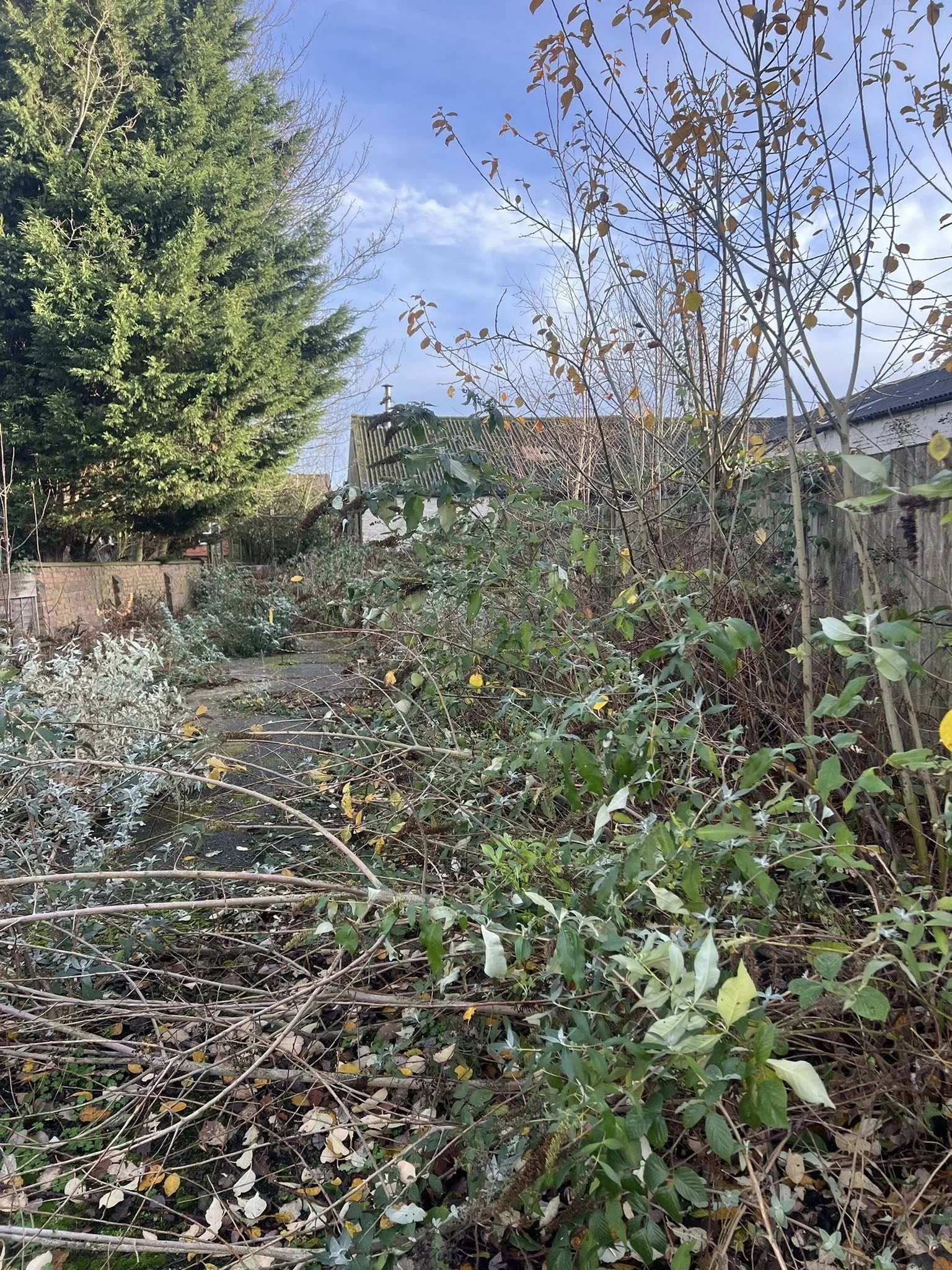 Before site clearance to facilitate access for utility works
