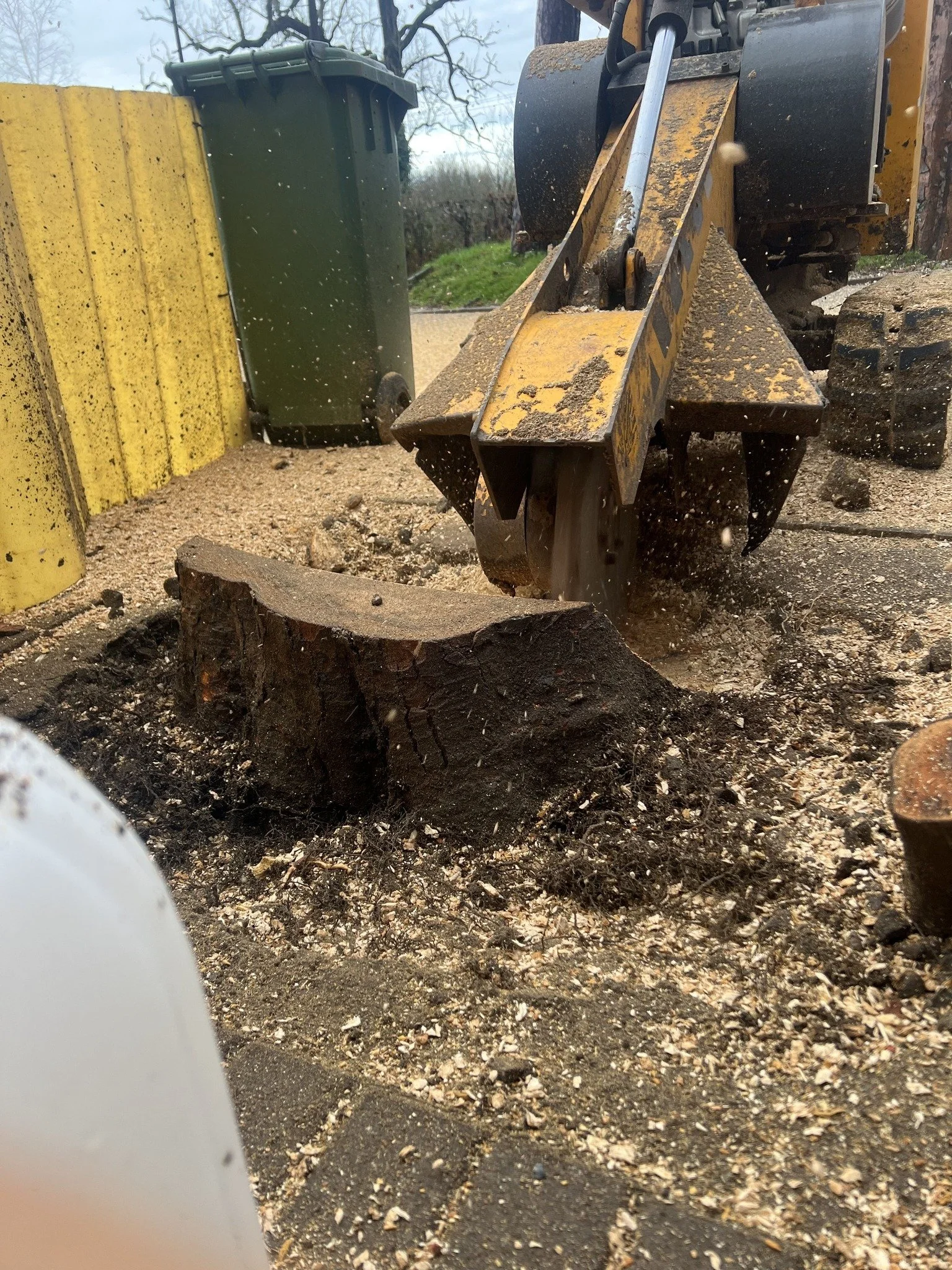Stump Grinding to remove tree stump in residential garden