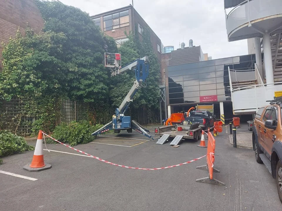 Vegetation clearance and removal in a Shopping Centre Car Park