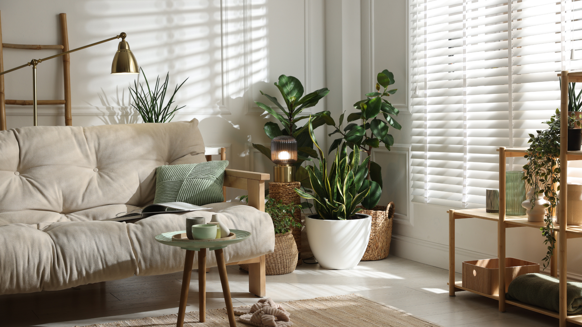 Sunlit living room with beige sofa, green striped pillow, potted plants, wooden shelving units, and white plantation shutters.
