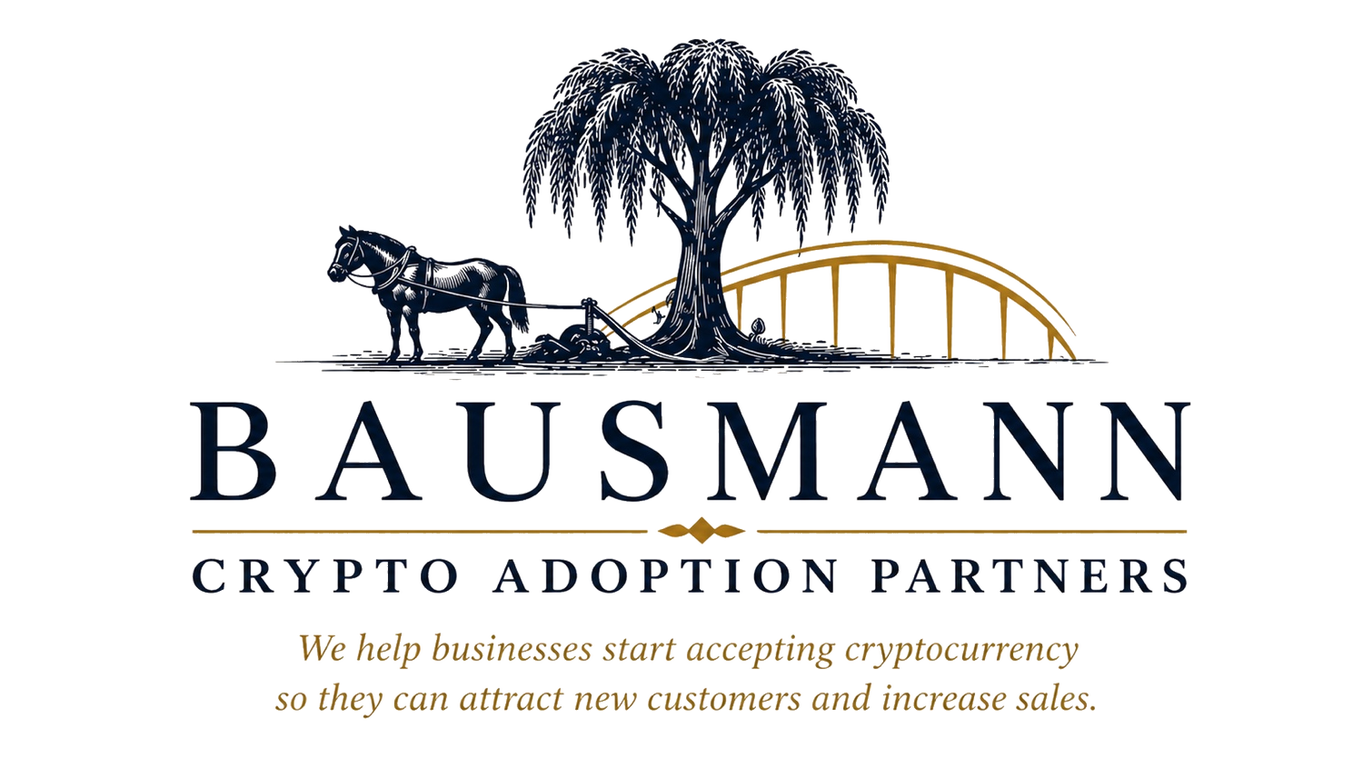 BAUSMANN   Crypto Adoption Partners                         