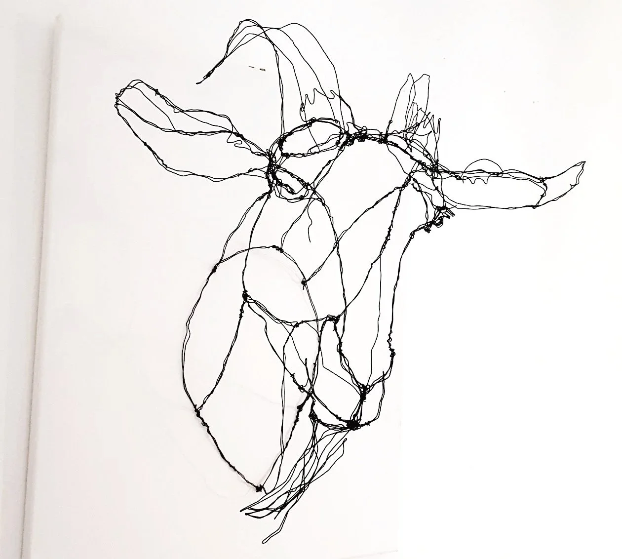Tête de chèvre en fil de fer sur toile