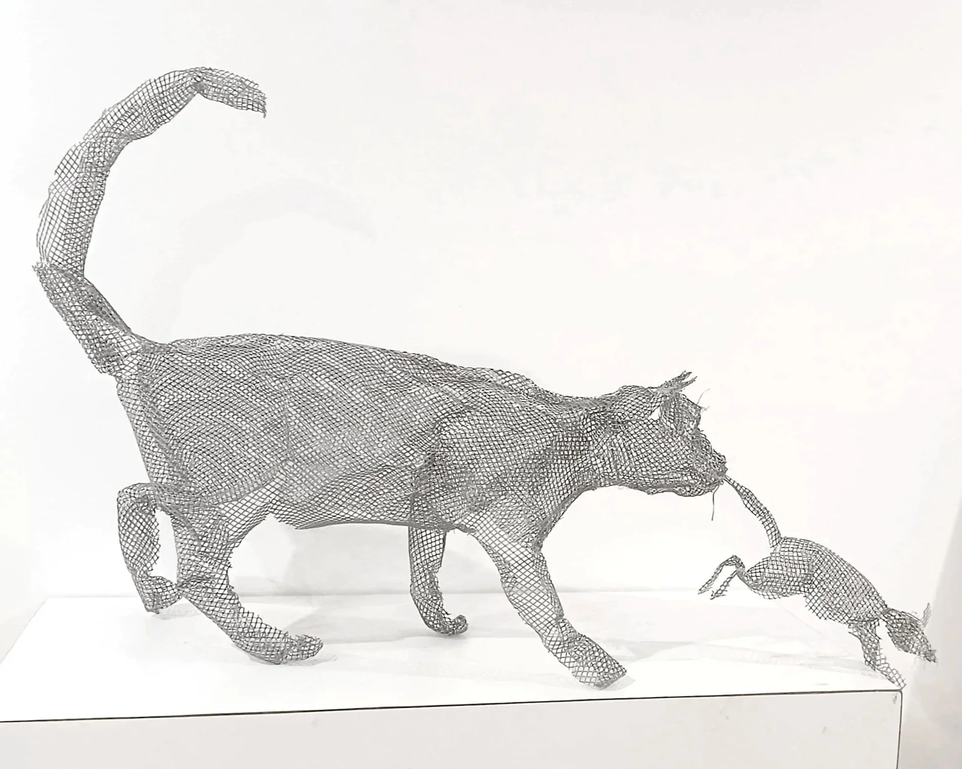 Chat chassant une souris, grillage