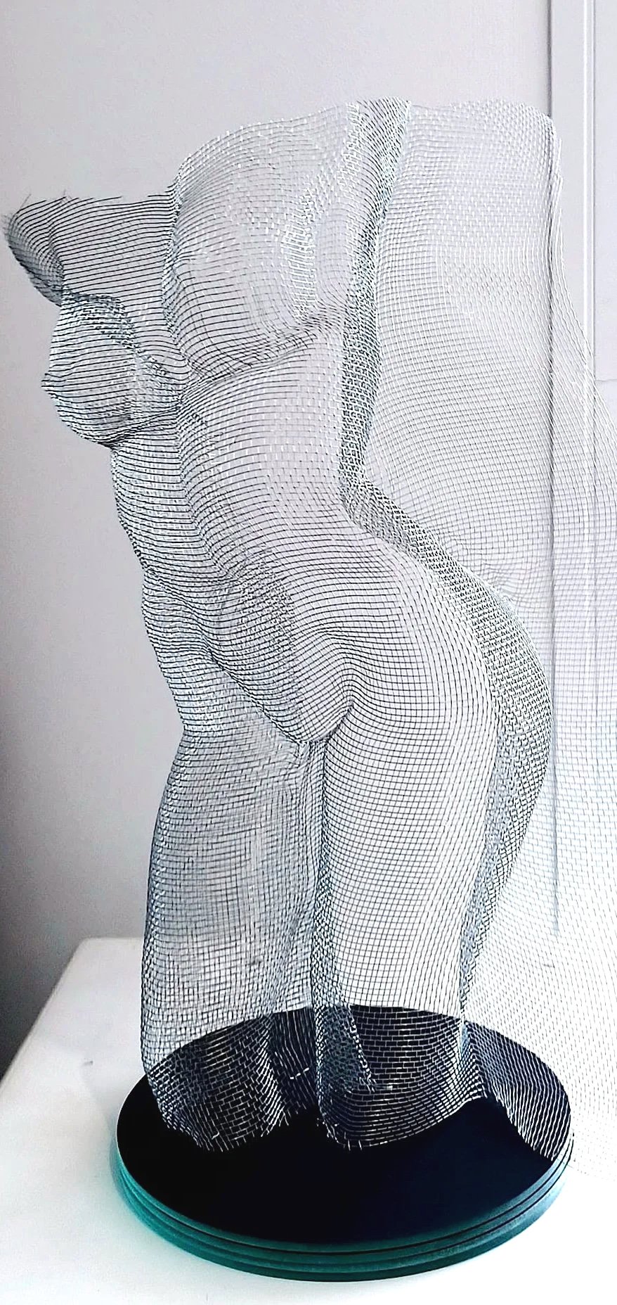 Buste de femme sculpté dans de la toile moustiquaire