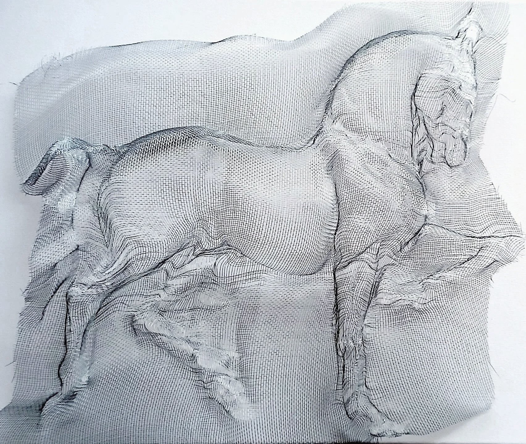sculpture-cheval-sculpte-moustiquaire.jpg