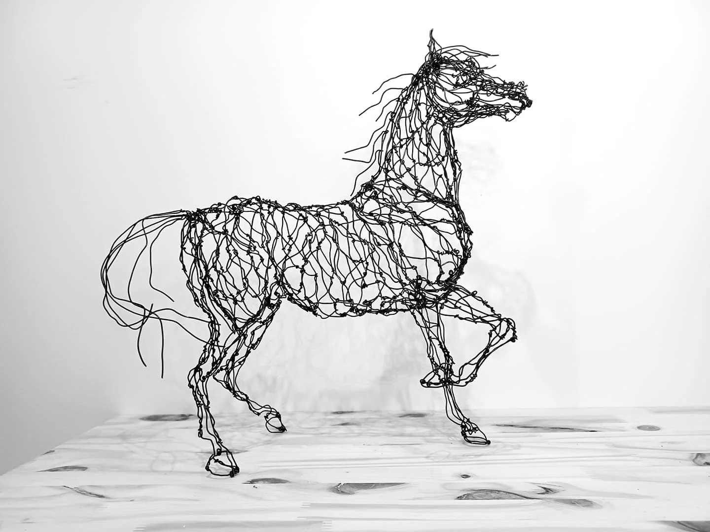 Cheval pur sang arabe en fil de fer recuit