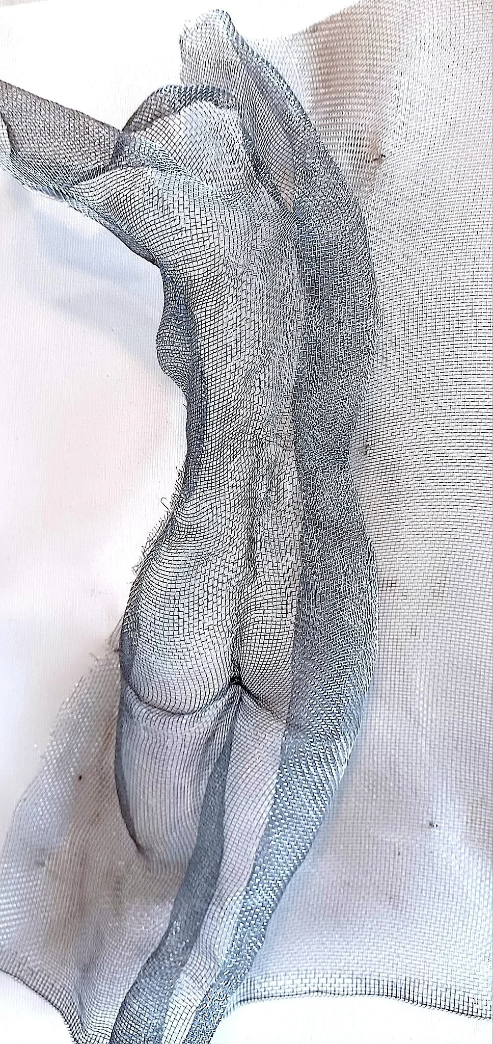 Corps de femme de dos, sculpté dans de la toile moustiquaire