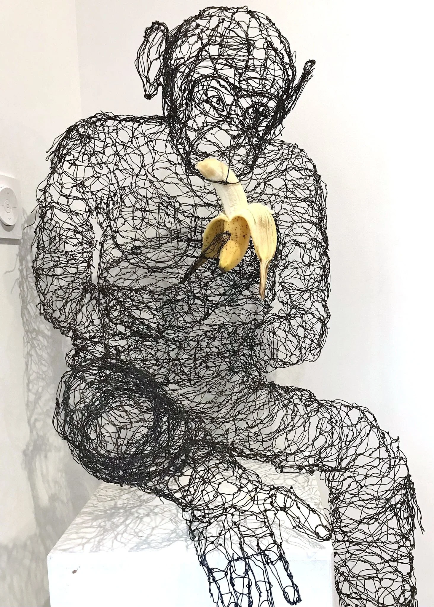 Singe en fil de fer recuit