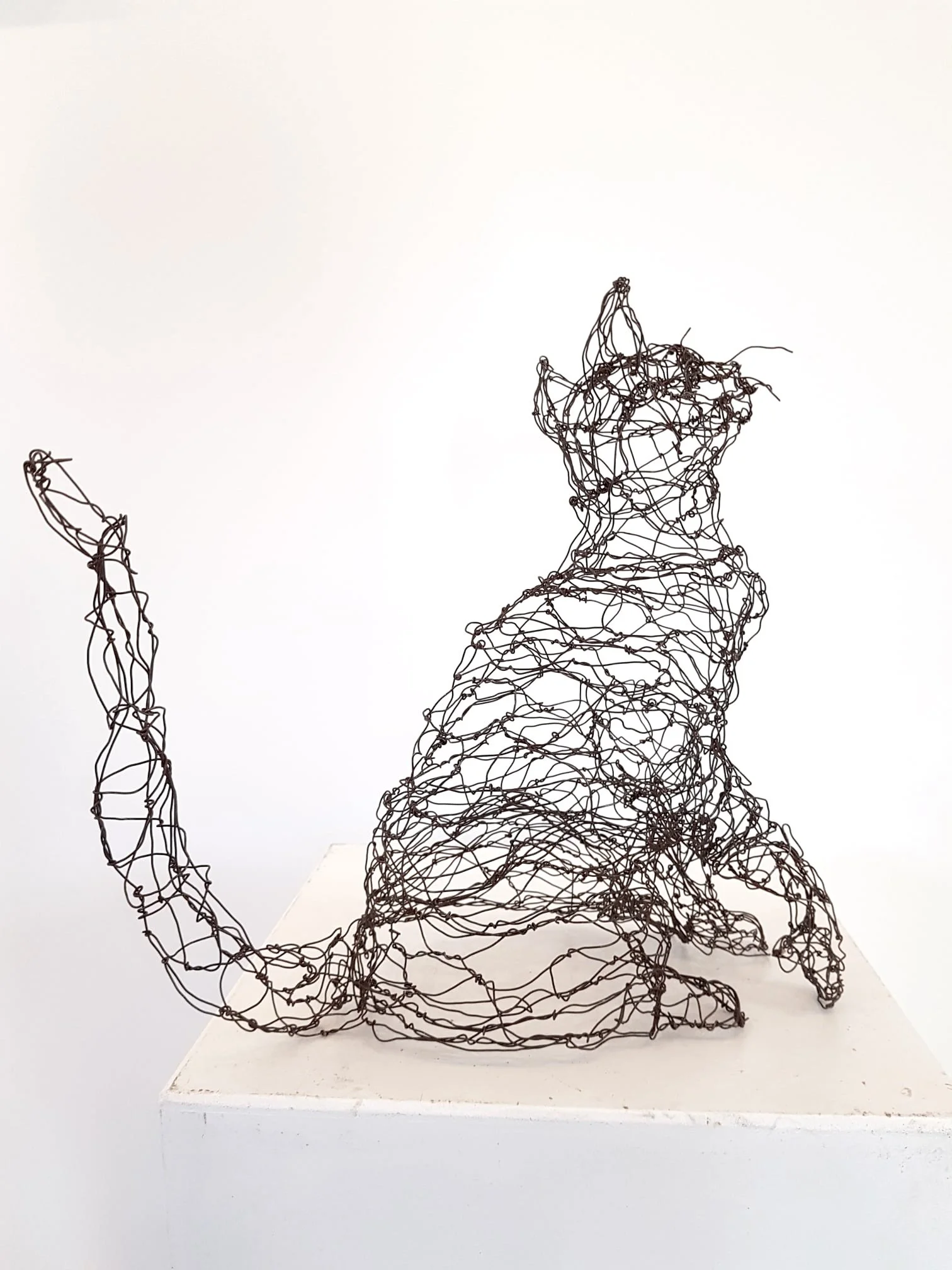 sculpture-chat-assis-fil-de-fer.jpg
