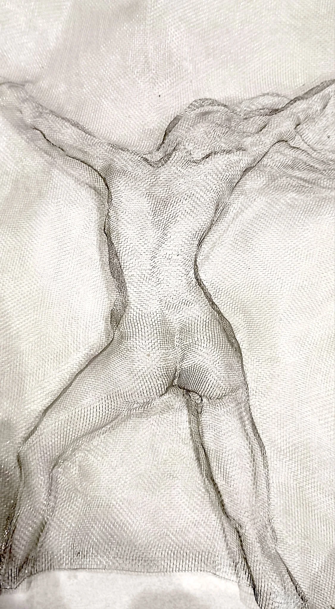 sculpture-femme-nue-dos-moustiquaire.jpg