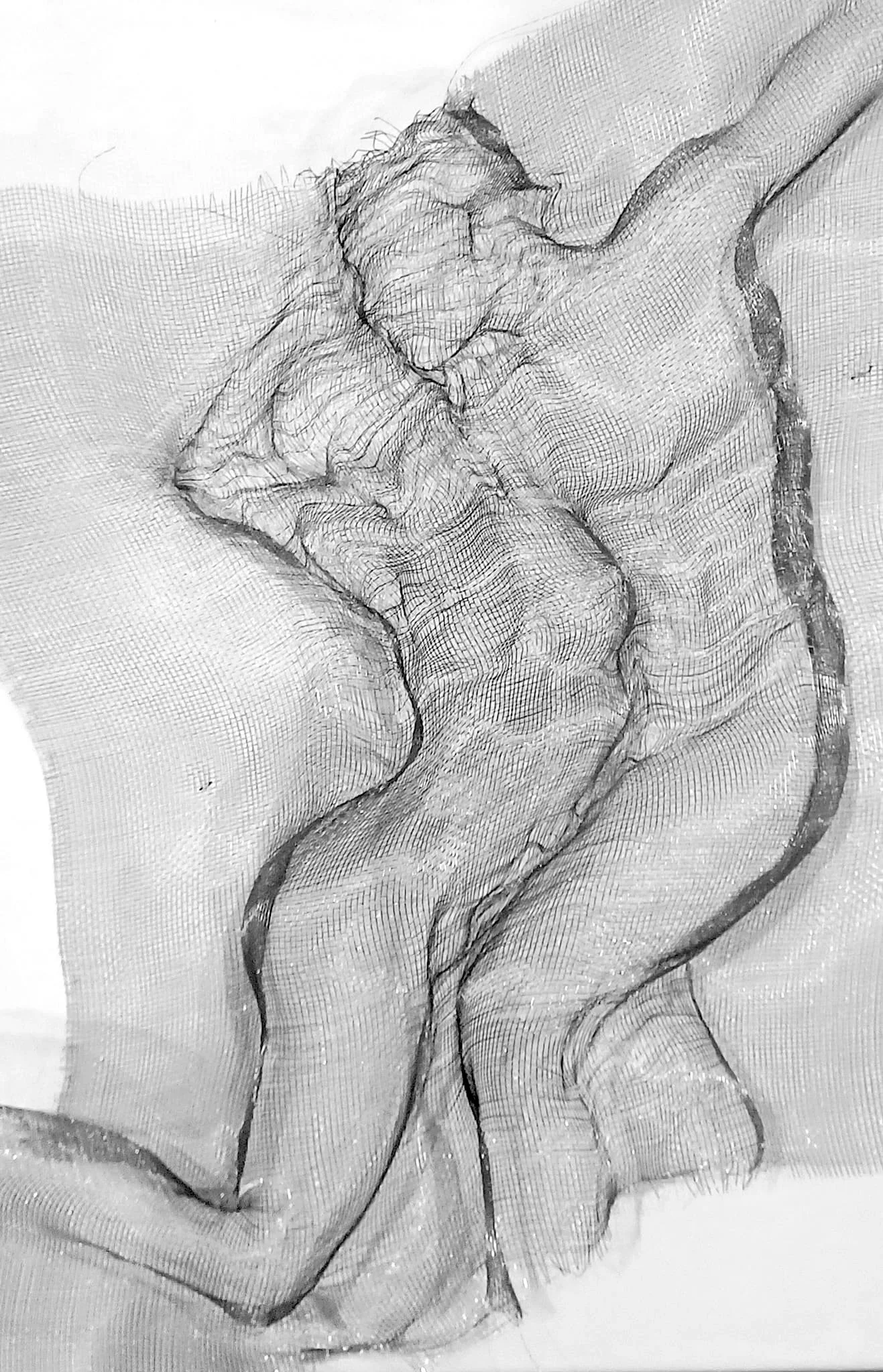 Couple enlacé sculpté dans de la toile moustiquaire
