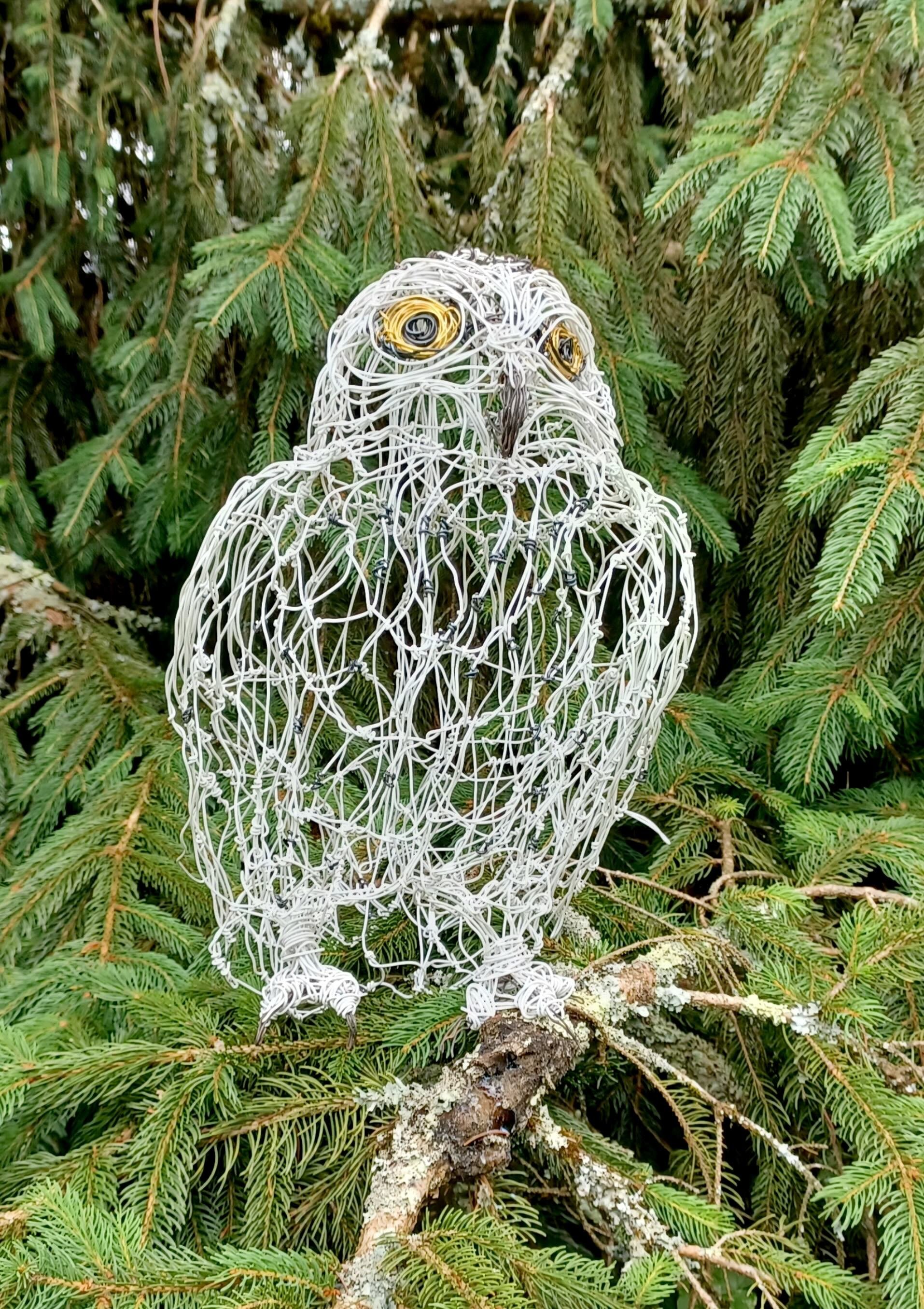 Une sculpture en forme de chouette réalisée avec des fils blancs, placée parmi des branches d'épicéa.