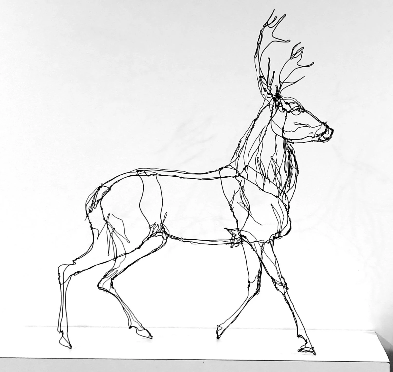 Sculpture d'un cerf, fil de fer recuit