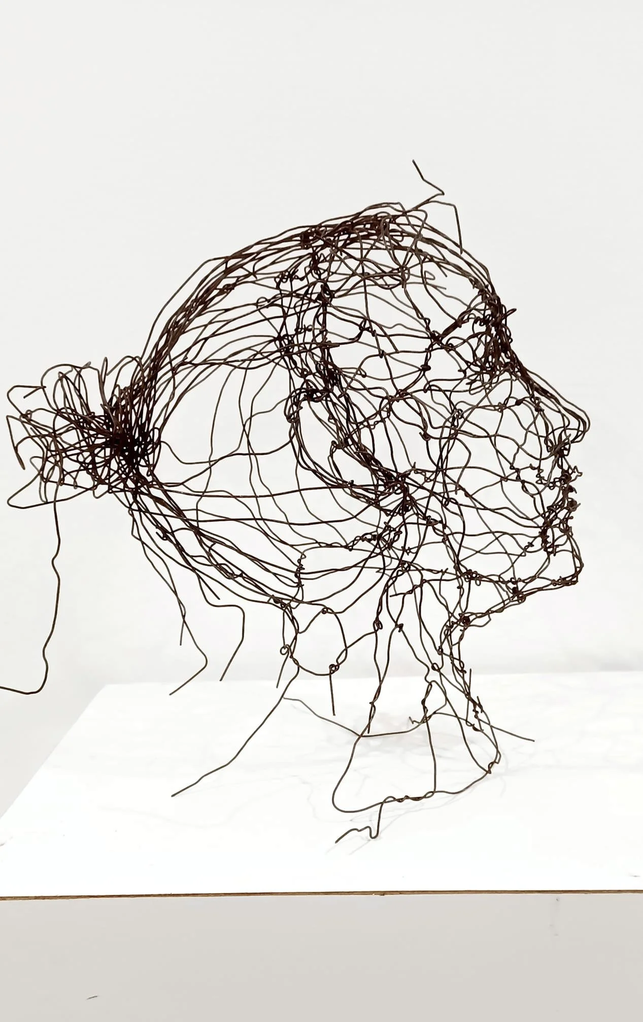 Sculpture d'une tête de femme en fil de fer recuit