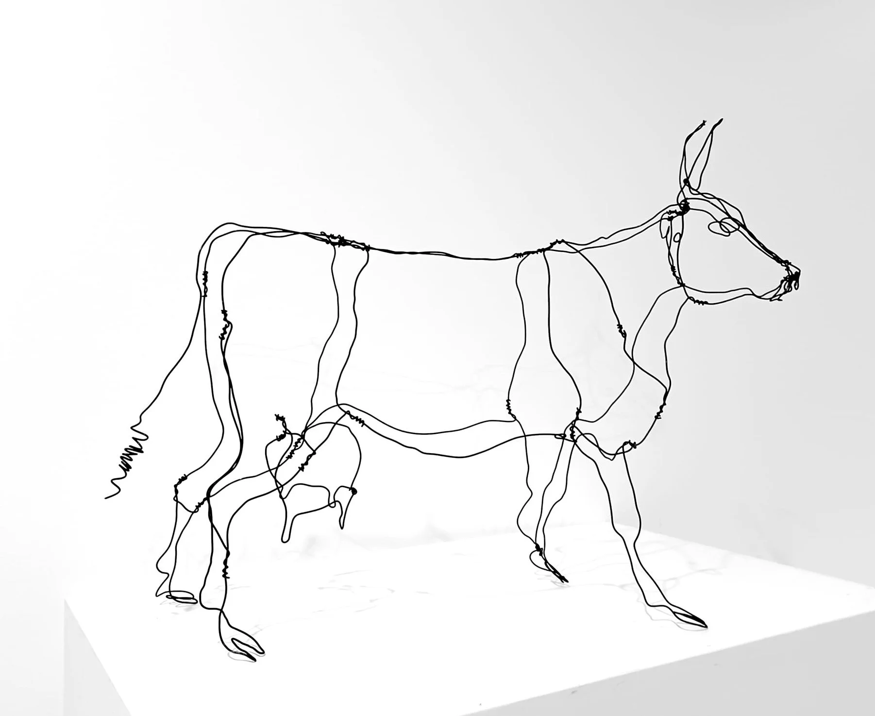 vache-fil-de-fer-recuit.jpg