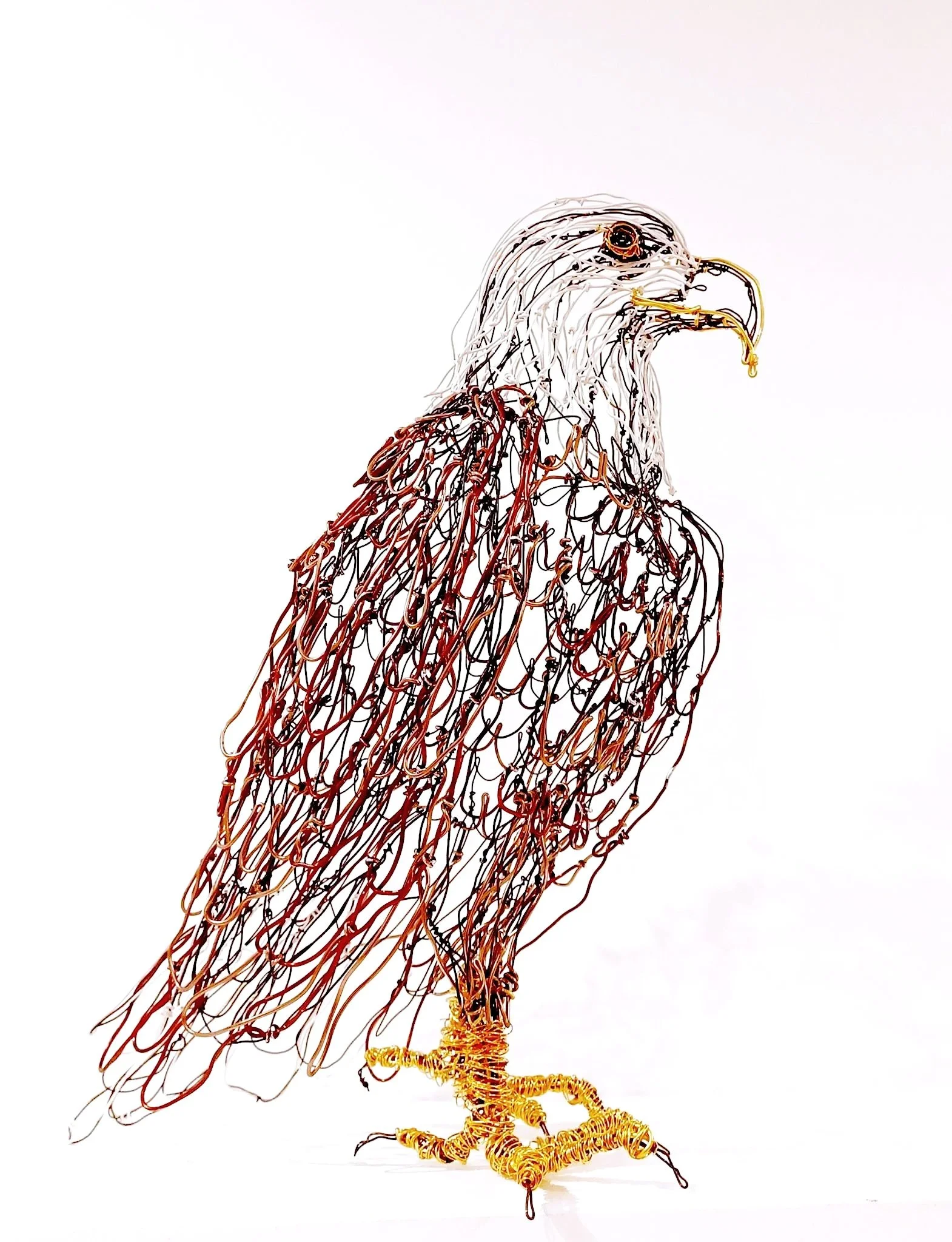 Sculpture de rapace en fil de fer couleurs