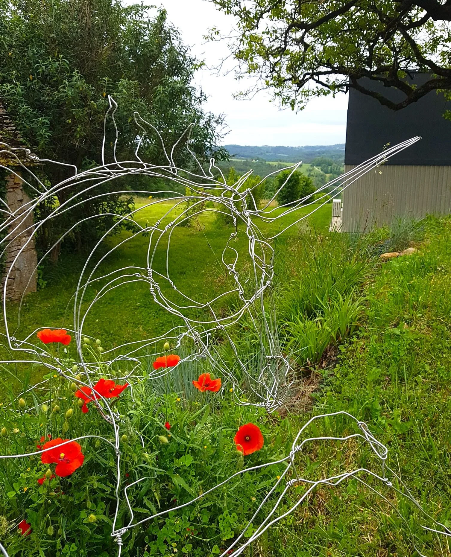 sculpture-fil-de-fer-tete-de-licorne.jpg