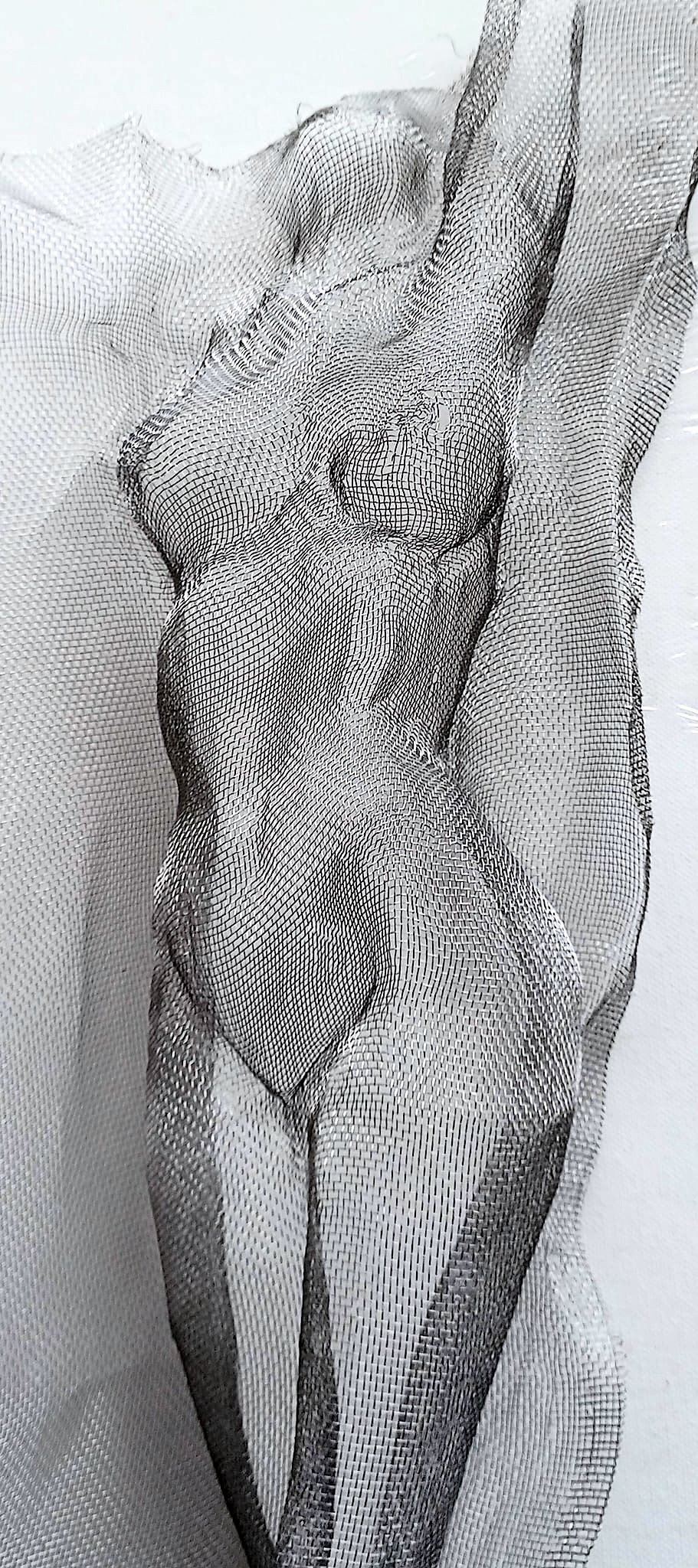 Corps de femme sculpté dans de la toile moustiquaire 
