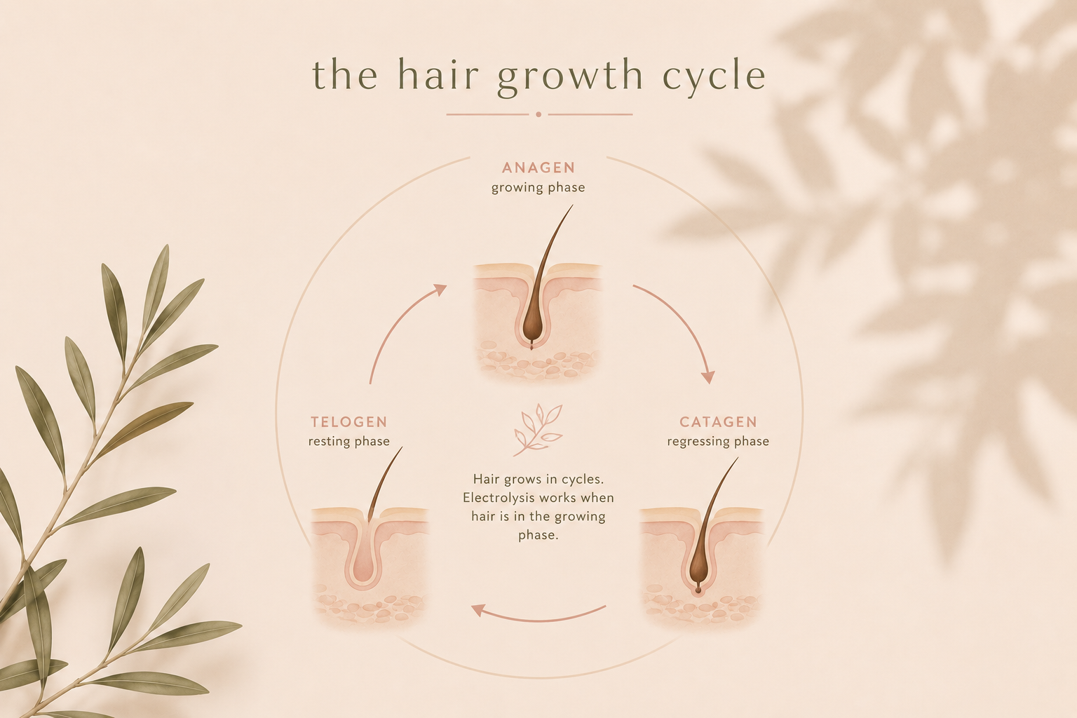 Why Electrolysis Takes Multiple Sessions