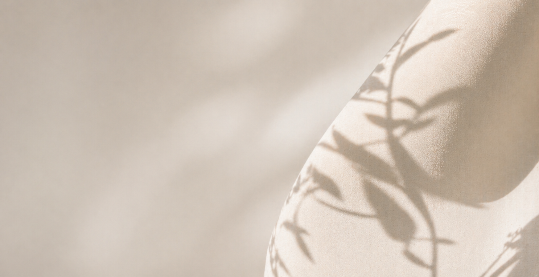 Shadow of a plant's leaves on a light-colored textured surface.