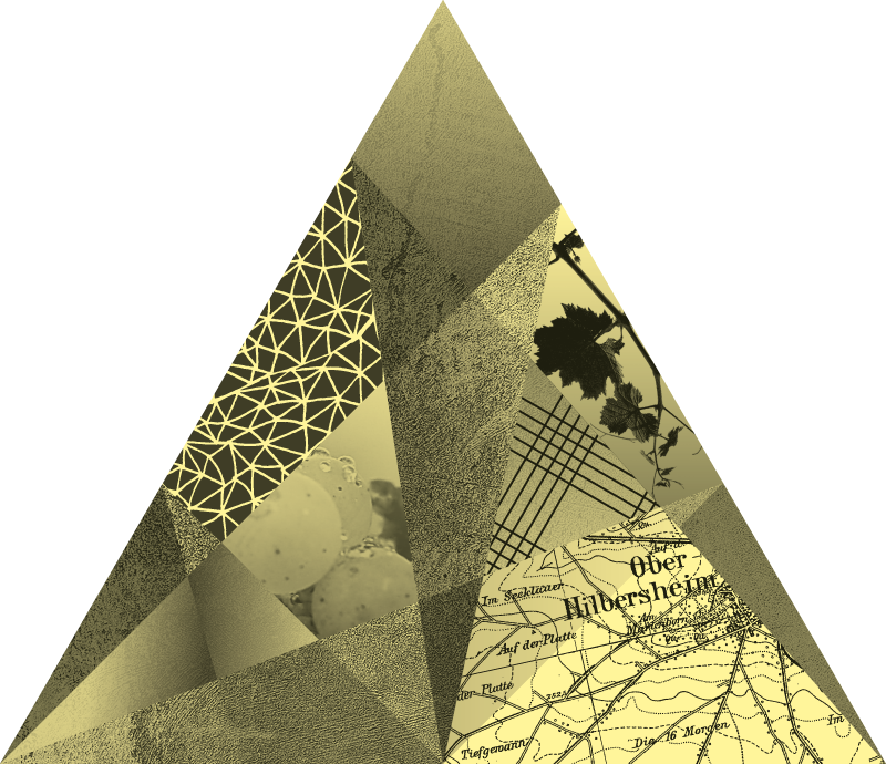 Abstrakte Collage mit geometrischen Formen, Karten, Pflanzen und Texturen in Gelb-, Schwarz- und Grautönen.
