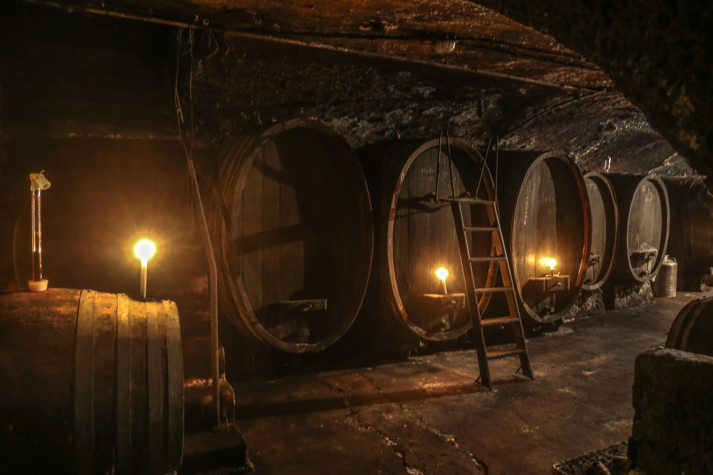 Große Weinprobe & Weingutsführung