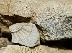 Ein ausgesiebtes Stück Gestein zwischen größeren Steinen.