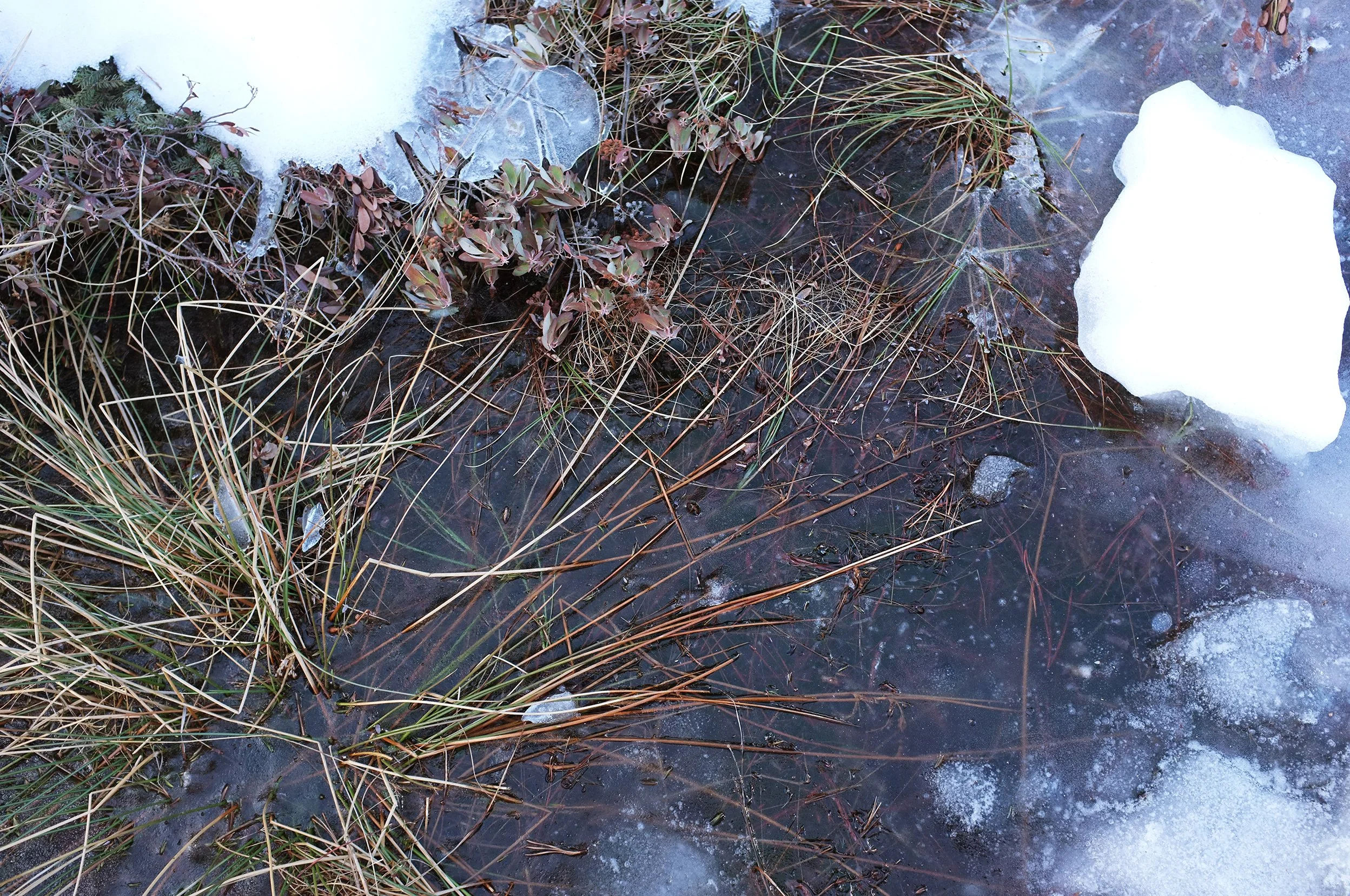 DSCF1034_web.jpg