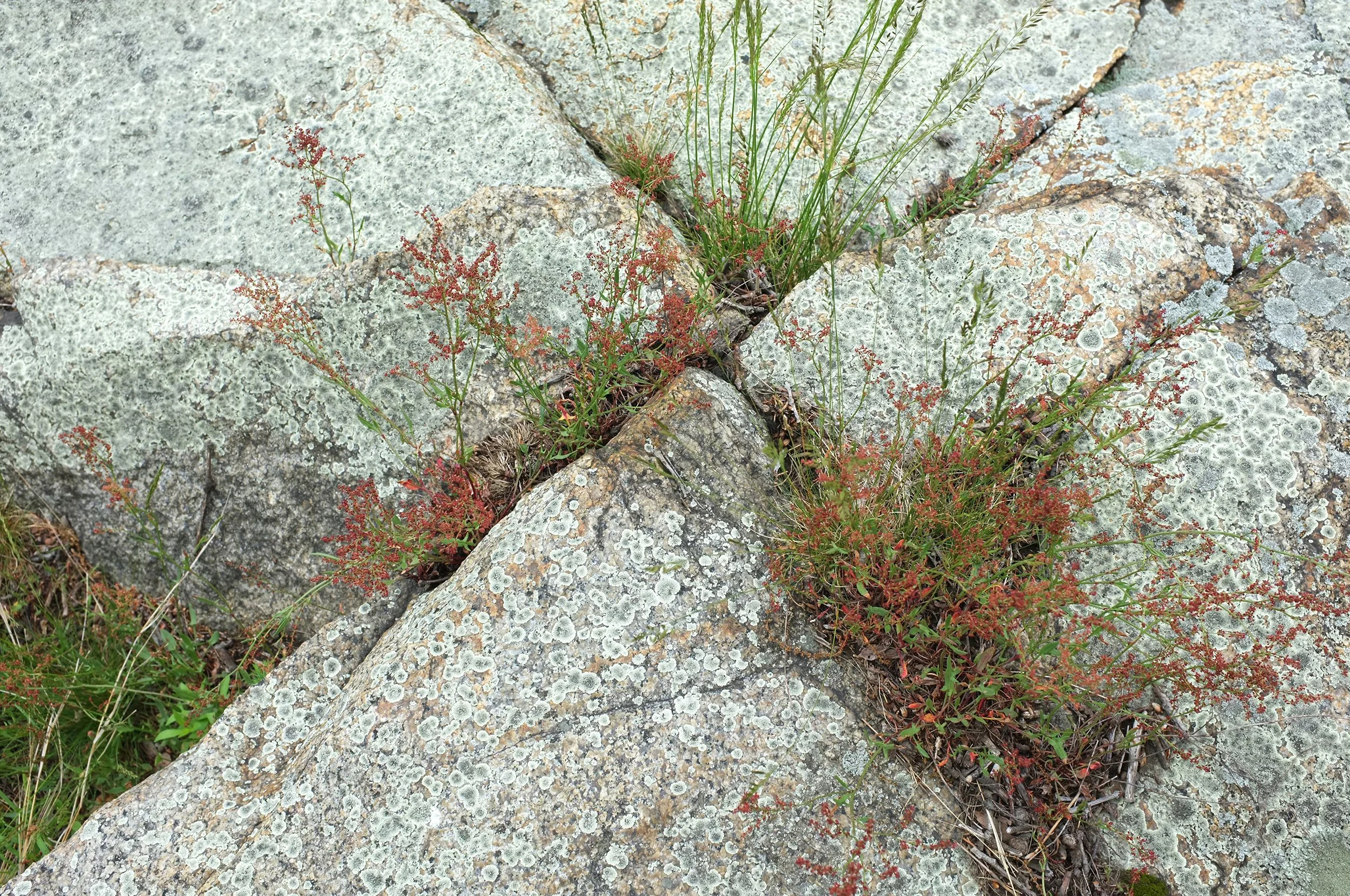 DSCF1074_web.jpg
