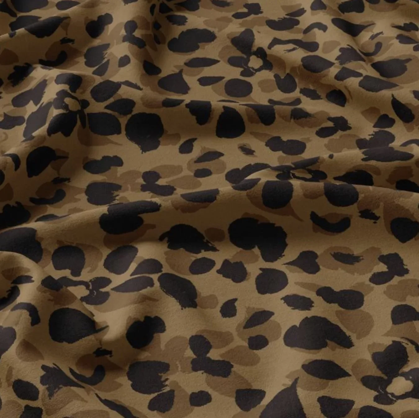 Image-11-01-2026-a-15.05.webp
