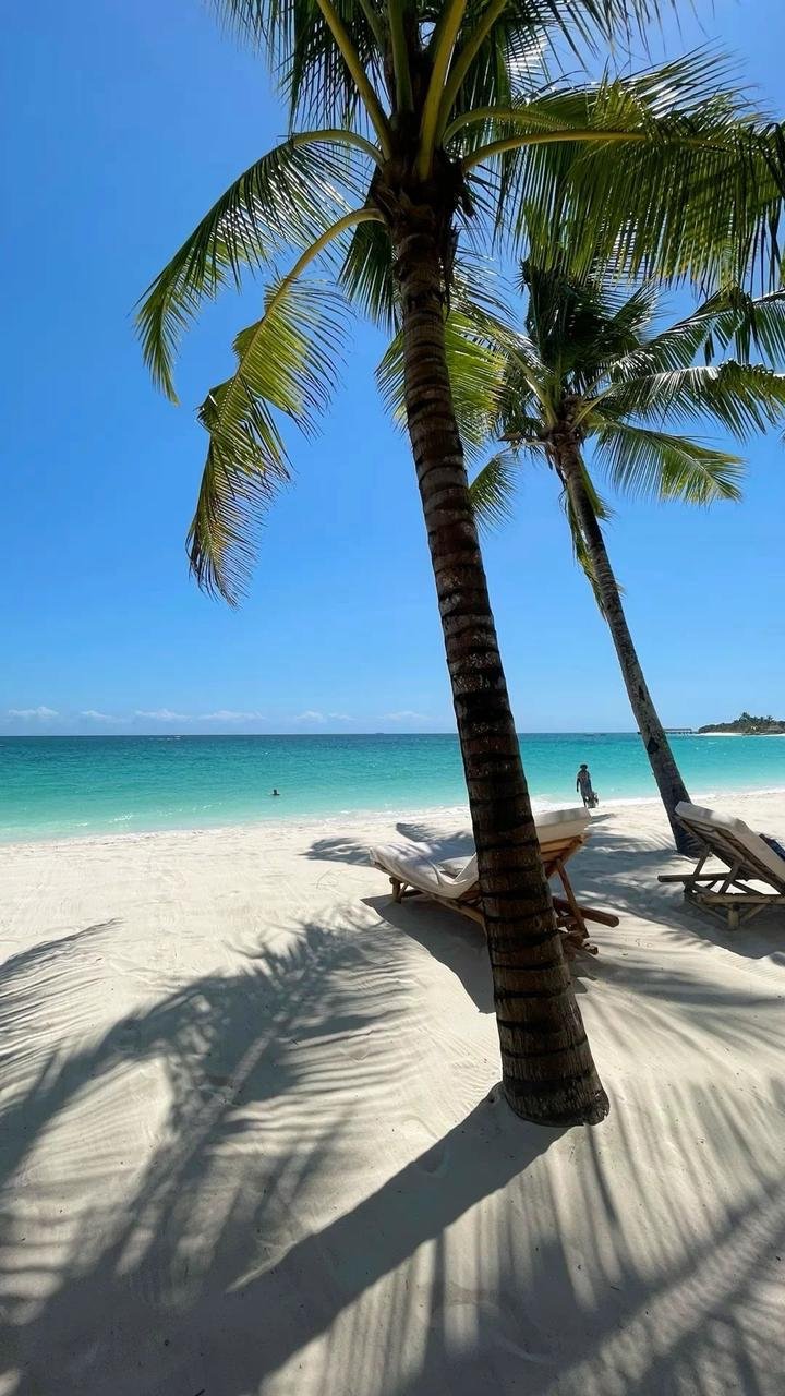 Tropical beach with white sand, turquoise water, and palm trees providing shade. Lounge chairs are set up under the palm trees, and a person is walking along the shoreline in the distance.