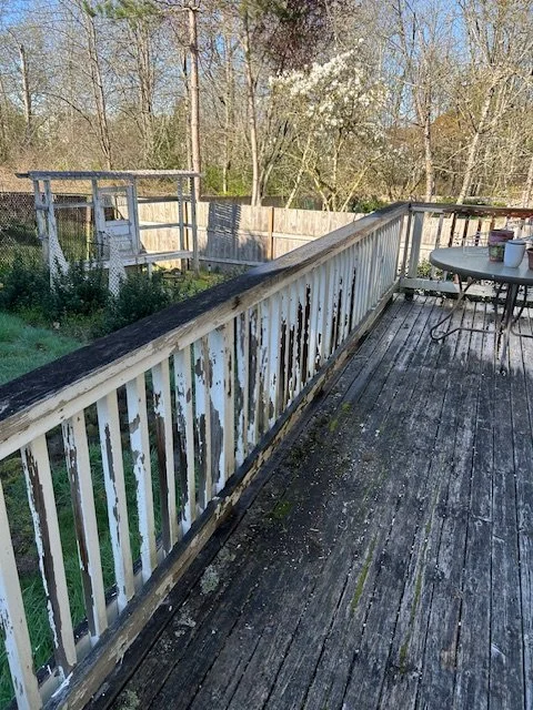 IMG_7544.jpeg