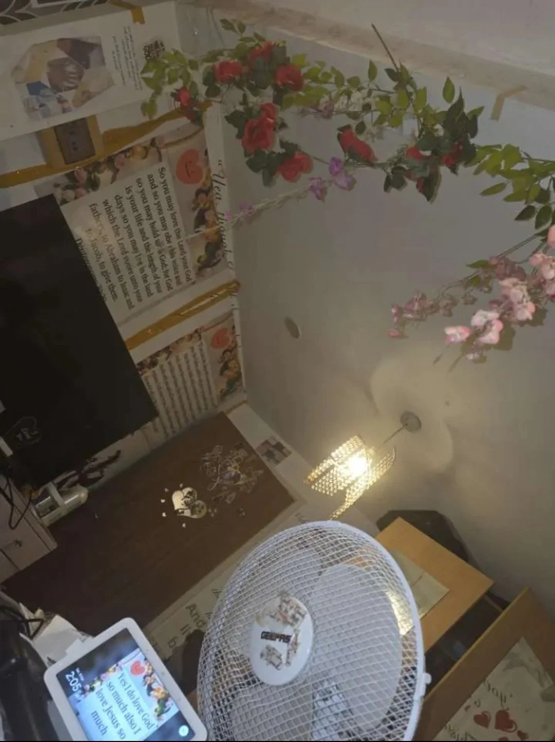 Screenshot_20260602_121139_Gallery.jpg
