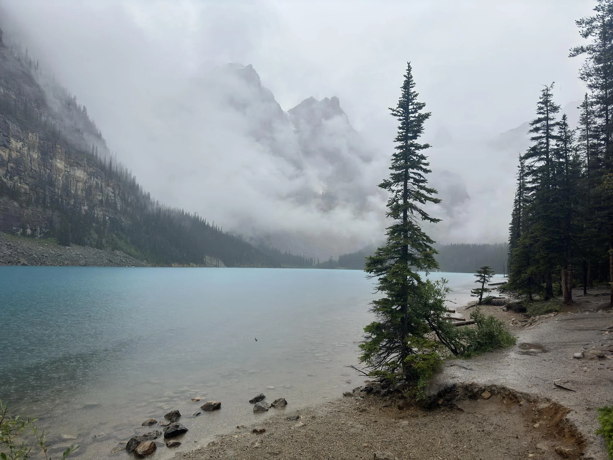 A misty mountain landscape with tall pine trees along the shoreline of a lake with turquoise water.