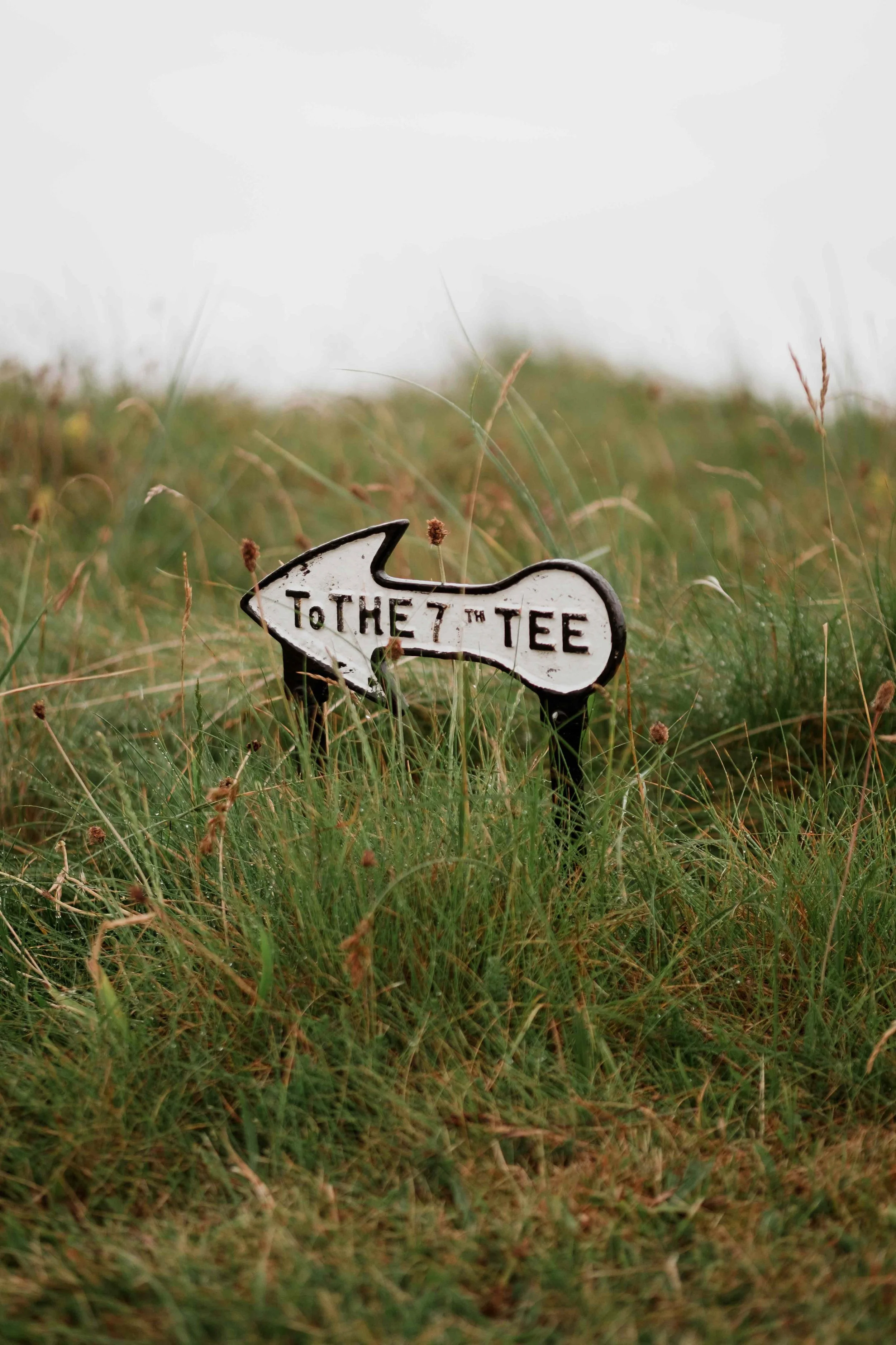 A small white sign shaped like a bone with black text reading 'TO THE 7TH TEE' is placed in a grassy field with tall green and brown grass, and is slightly tilted.