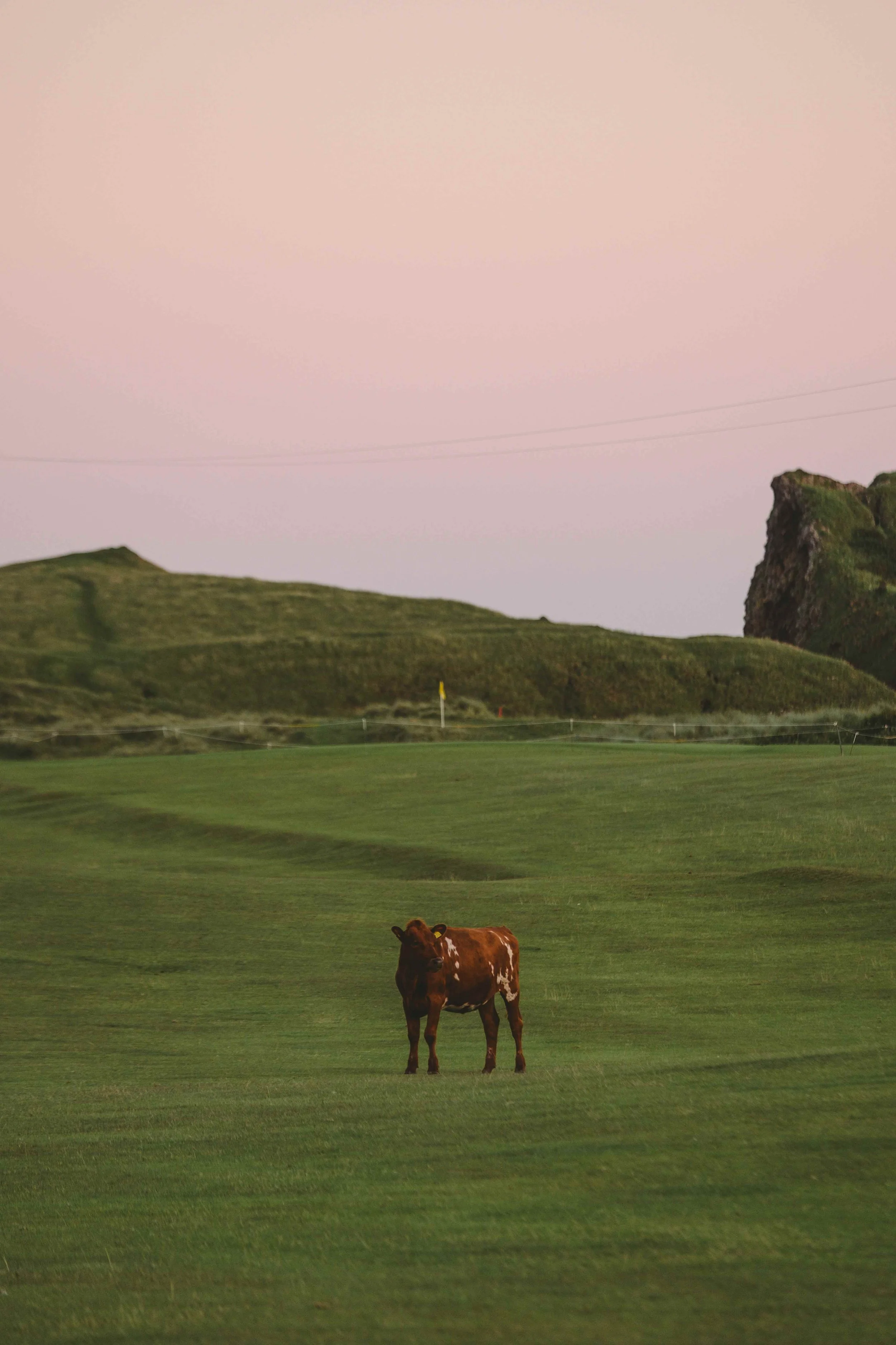 dunaverty-golf-club-11.jpg
