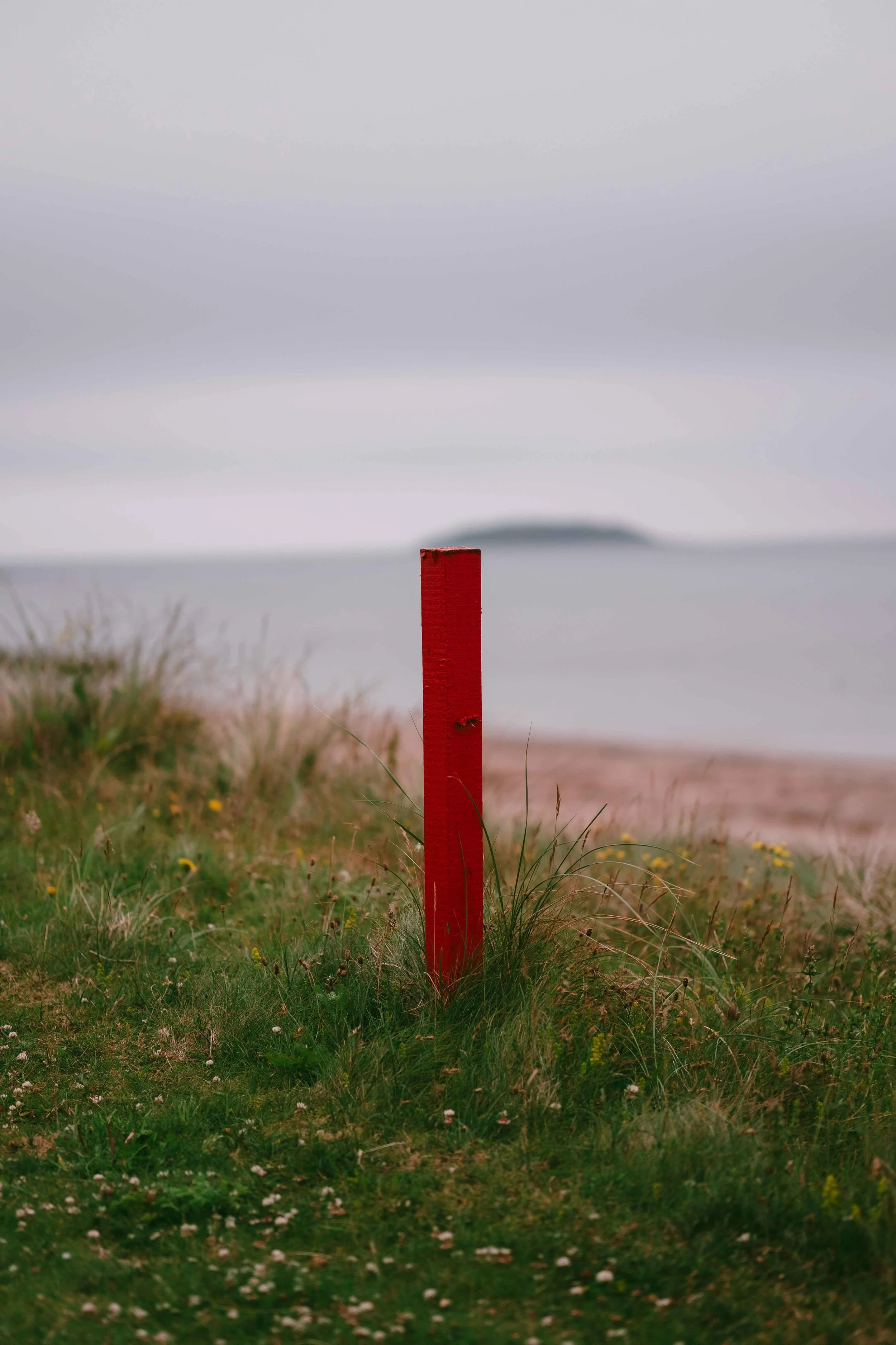 A red post on a grassy area with small flowers, near a body of water, under an overcast sky.