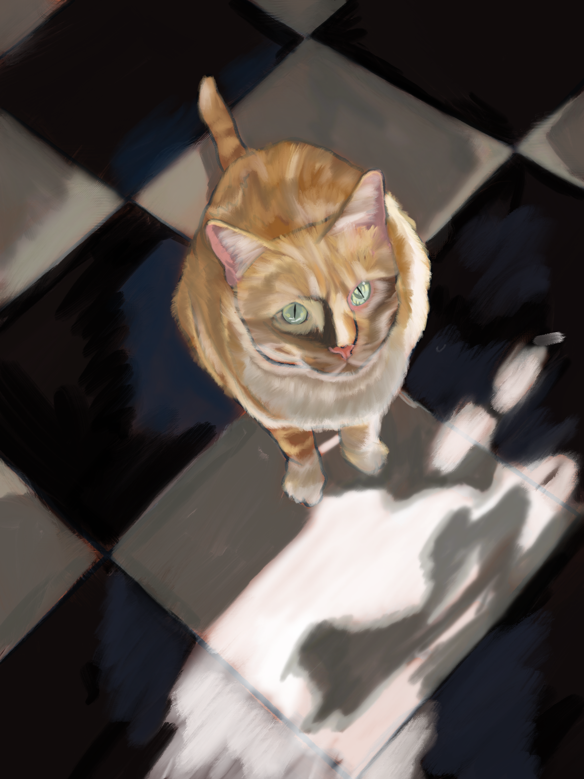 IMG_1146.png