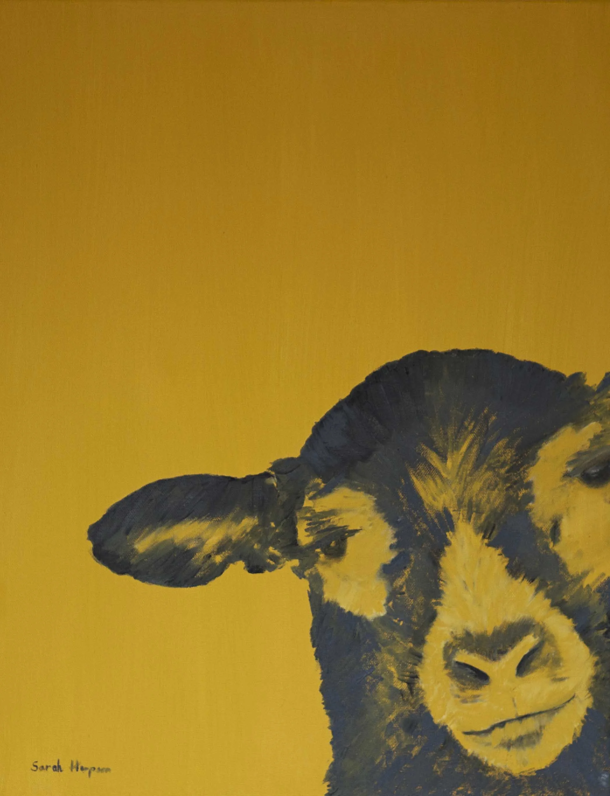 Herdy Alison