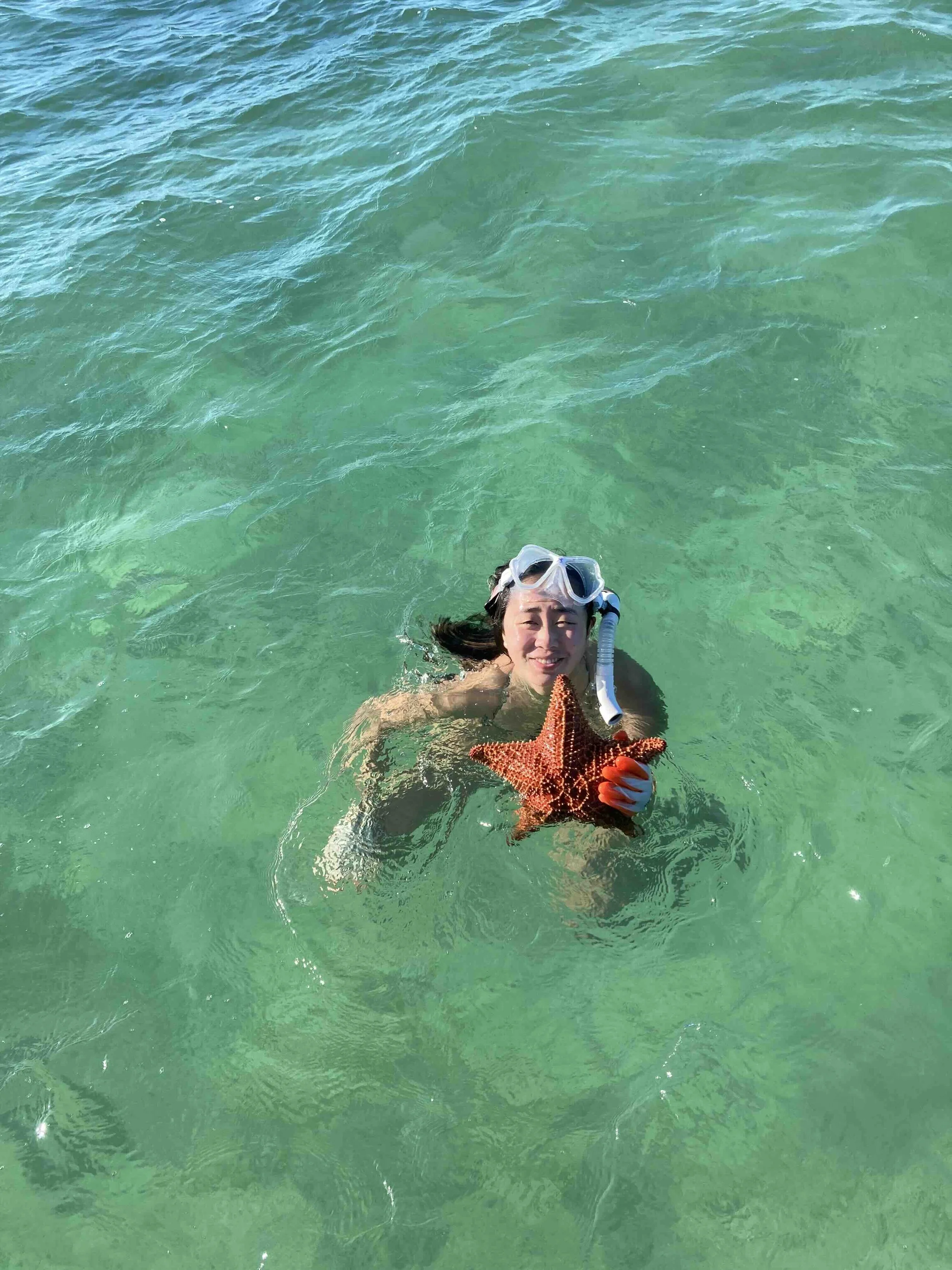 Starfish.jpg