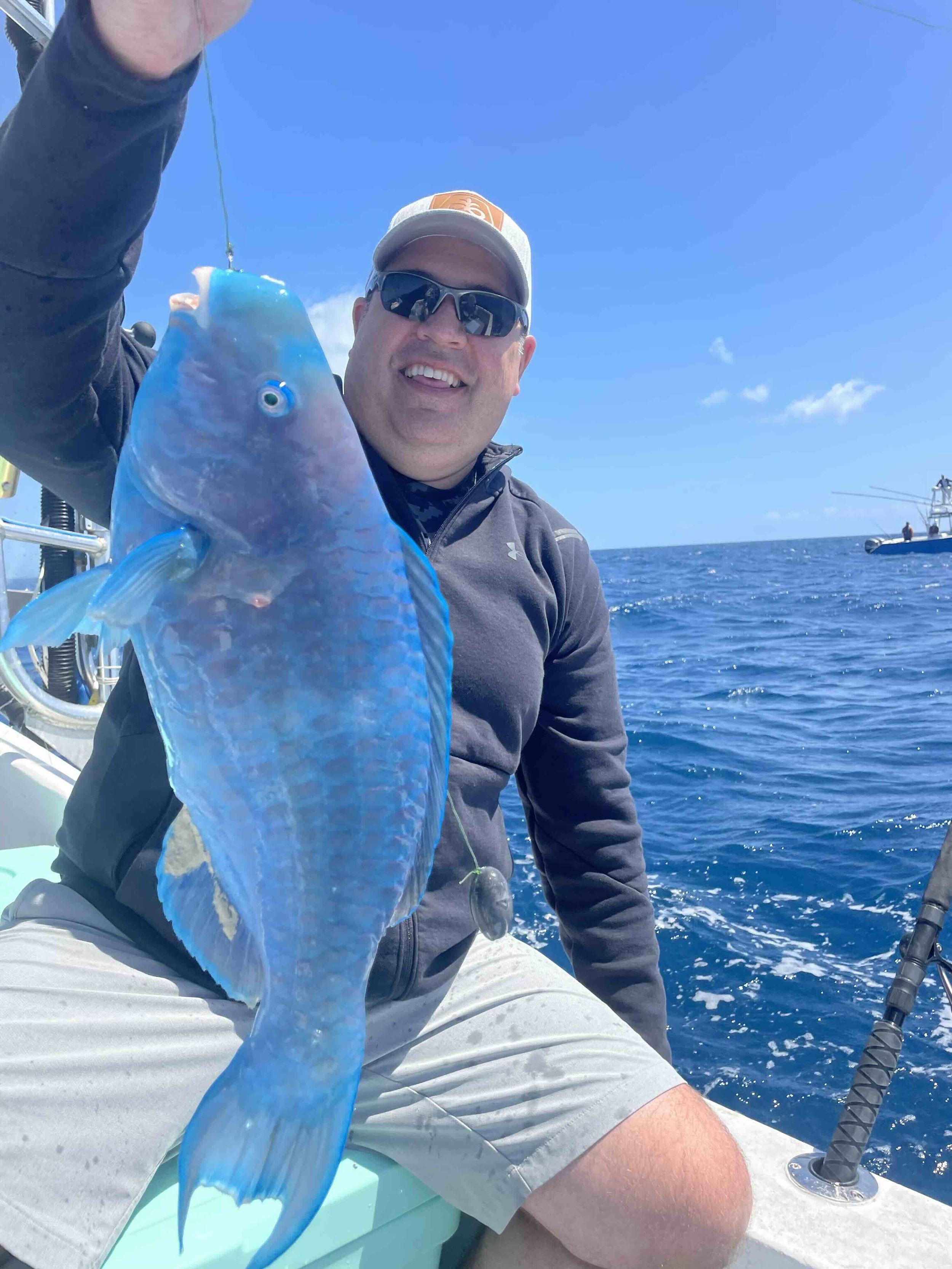 Blue.jpg