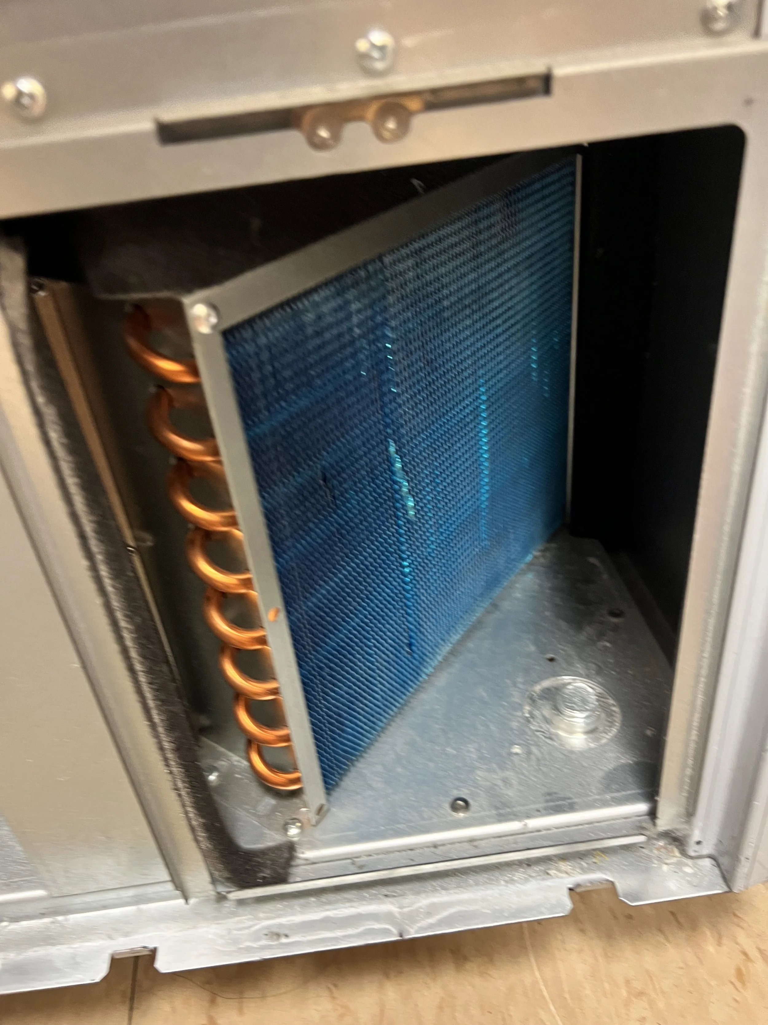 AB2CFAEC-7083-49EE-907B-C554317DF3EE.jpeg