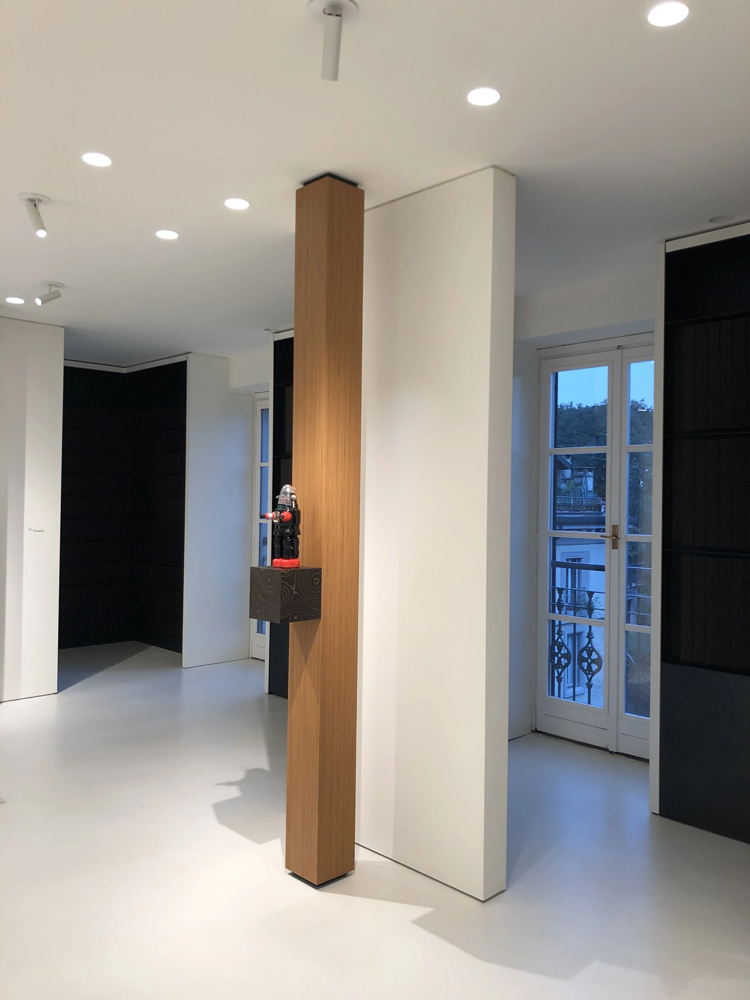 Interior of a modern room with white walls and ceiling, wooden and black panel accents, a door with glass panes, and ceiling lights.