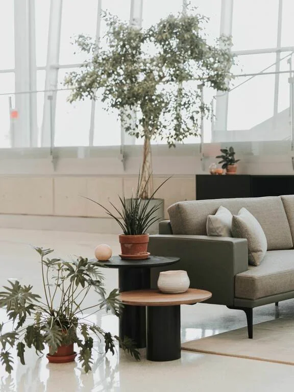 Modern indoor space with a gray sofa, multiple throw pillows, and potted plants on tables and the floor, with large windows in the background.