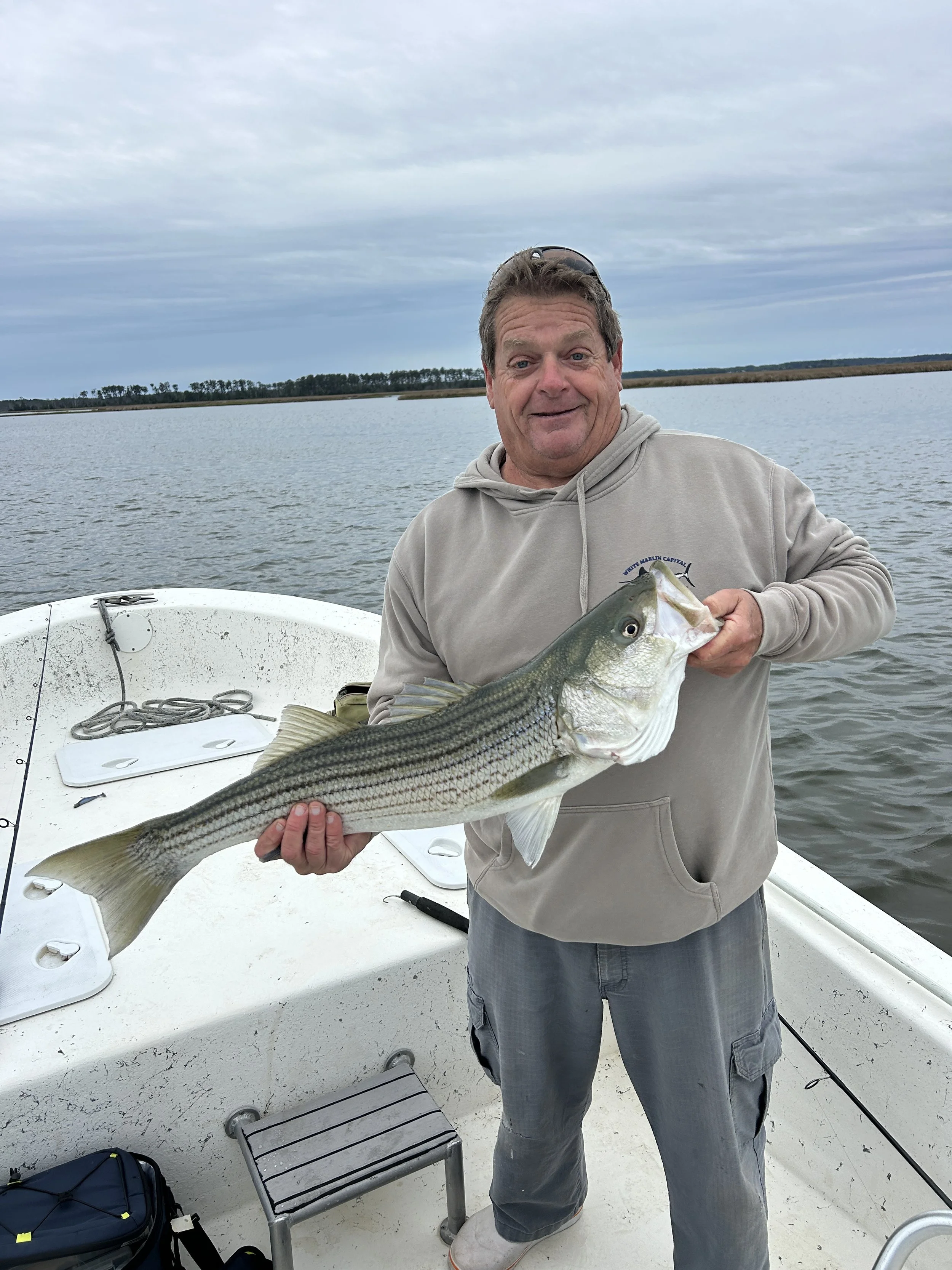 A man holding a large striped bass fish on a boat with water and cloudy sky in the background. sandbar Captain Tilly OC Fishing Charters. Ocean City, MD